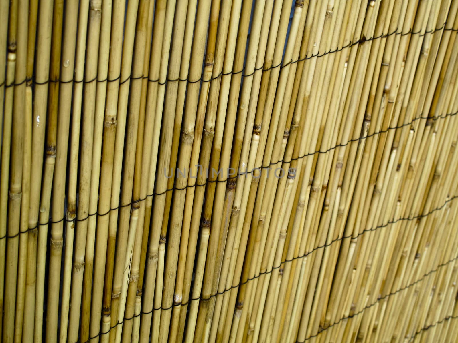 Closeup of an urban bamboo fence