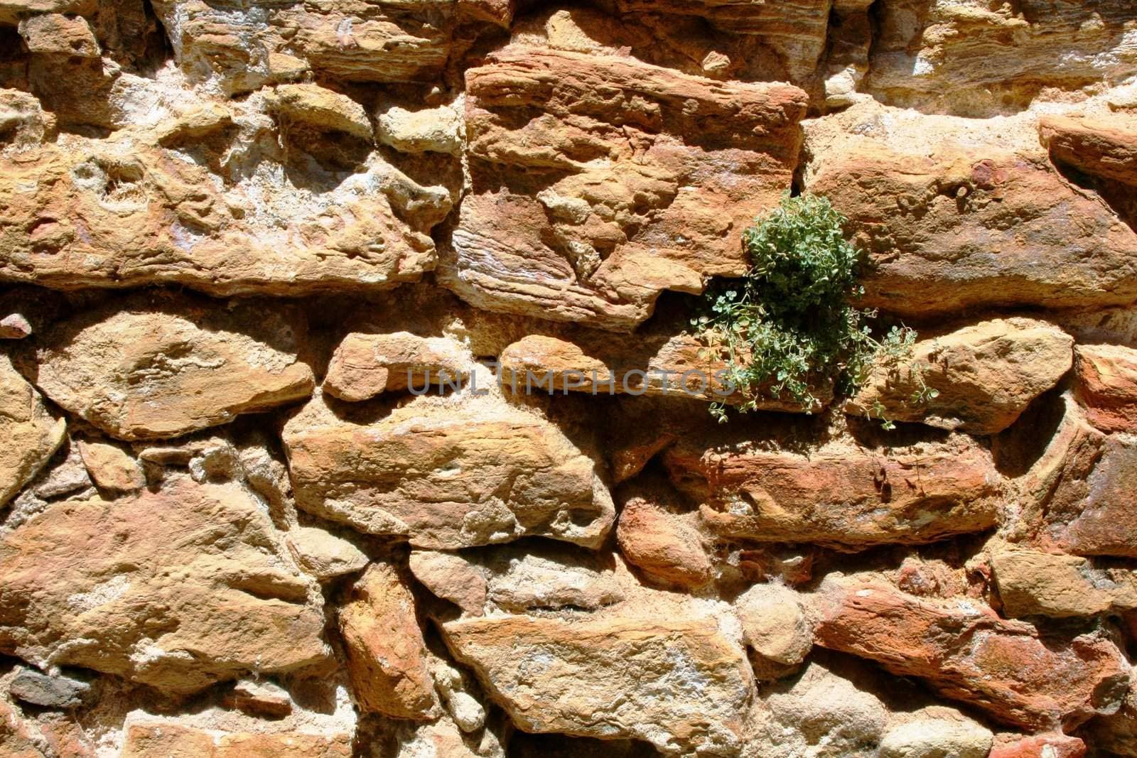 Old stone wall in Segovia (Spain)