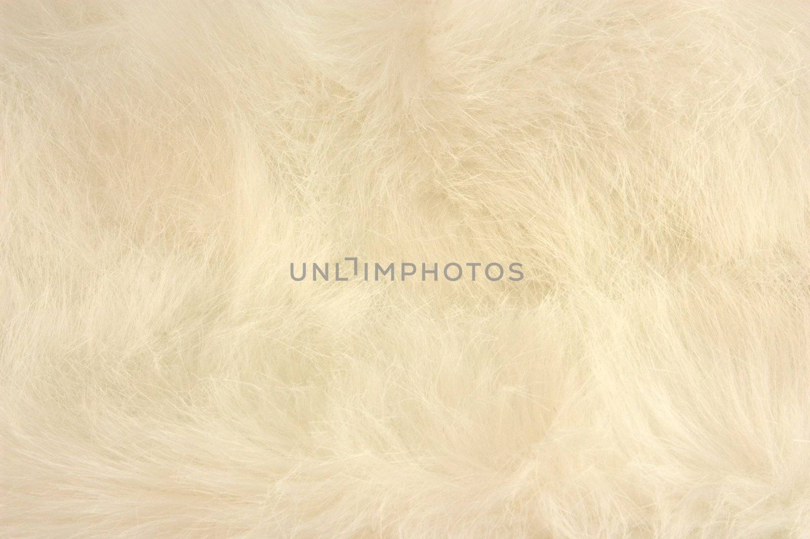 White silk fur on the background