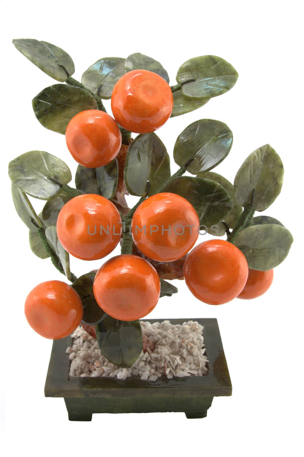 orange tree in a pot isolated
