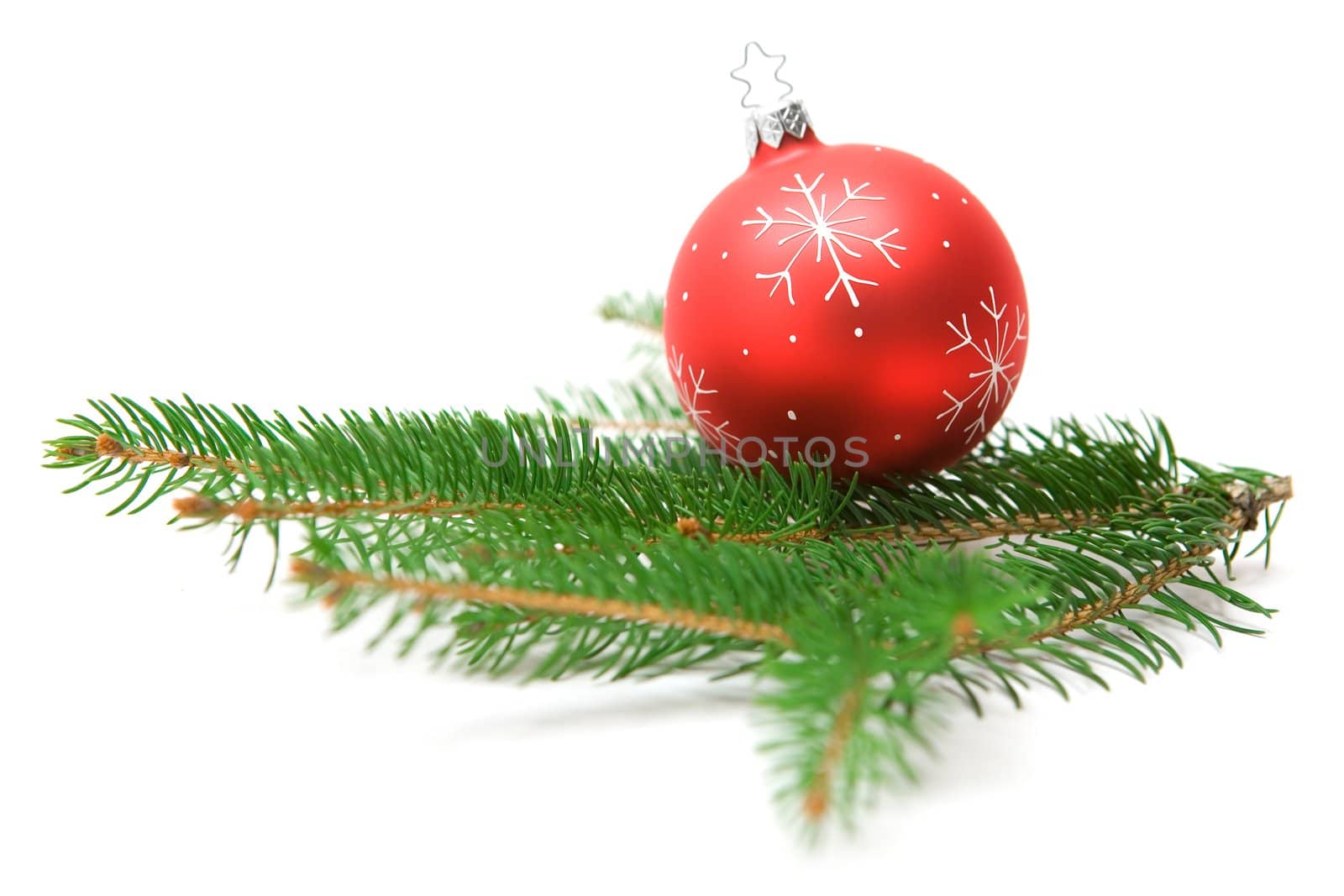 Christmas tree ball sitting on a green fir branch. White background.