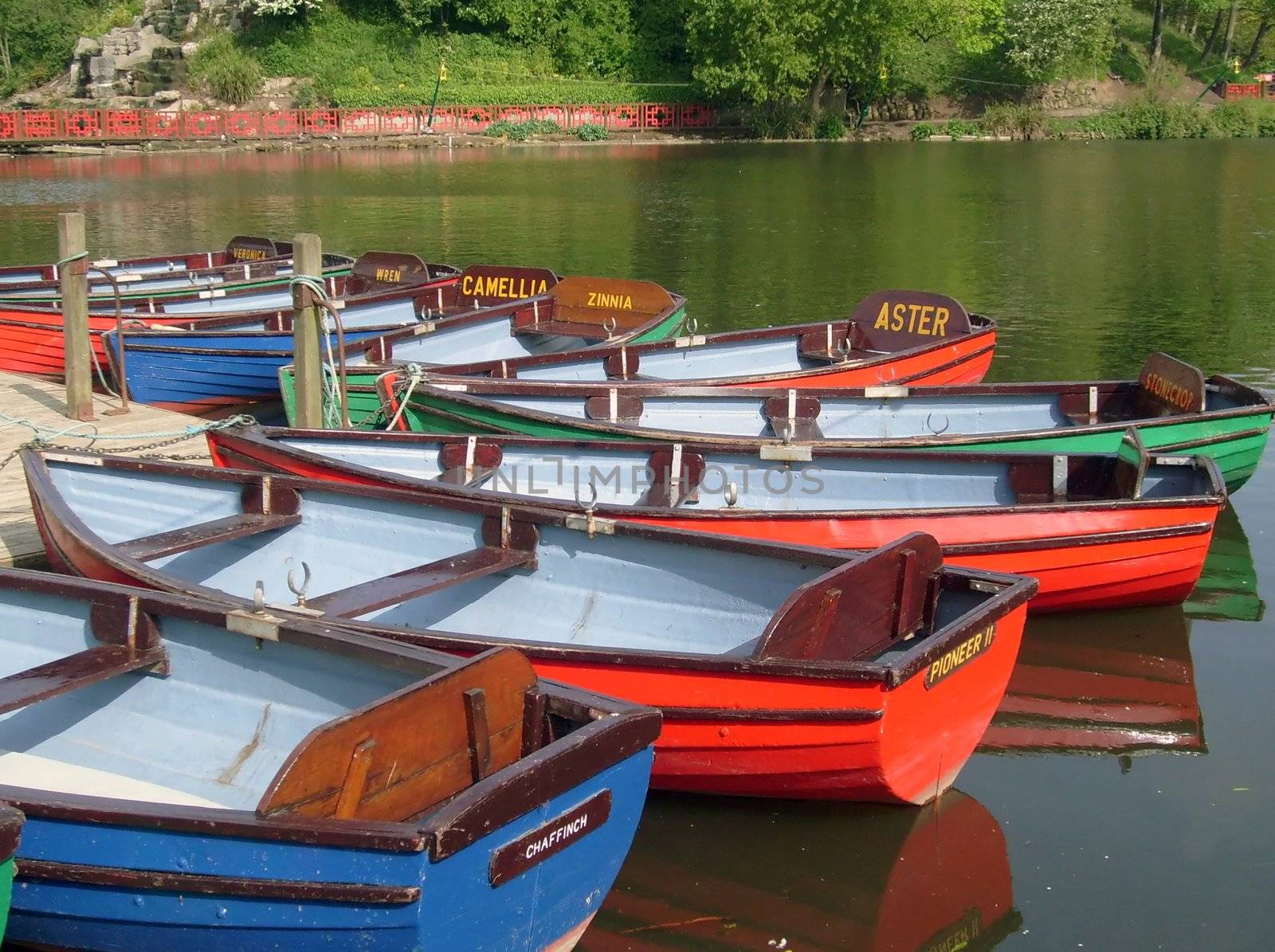Colorful boats on boating lake, Peasholm Park, Scarborough, England.