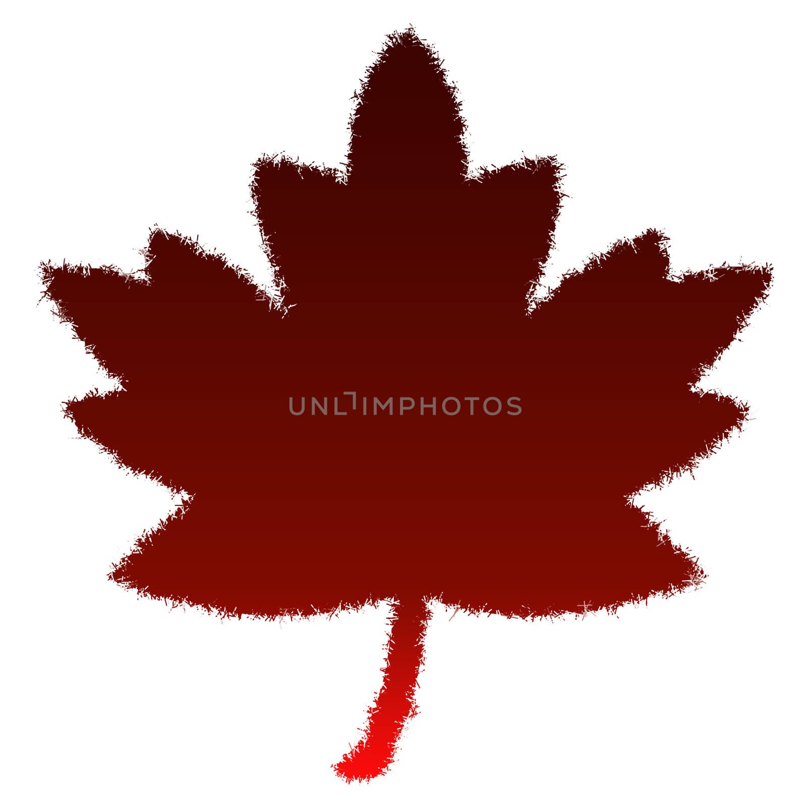 Autumn leaf on a white background. A red autumn leaf