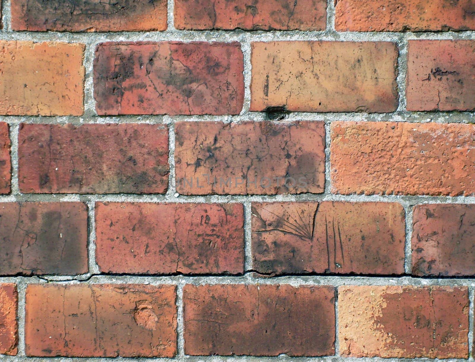 Detail of red bricks in wall.