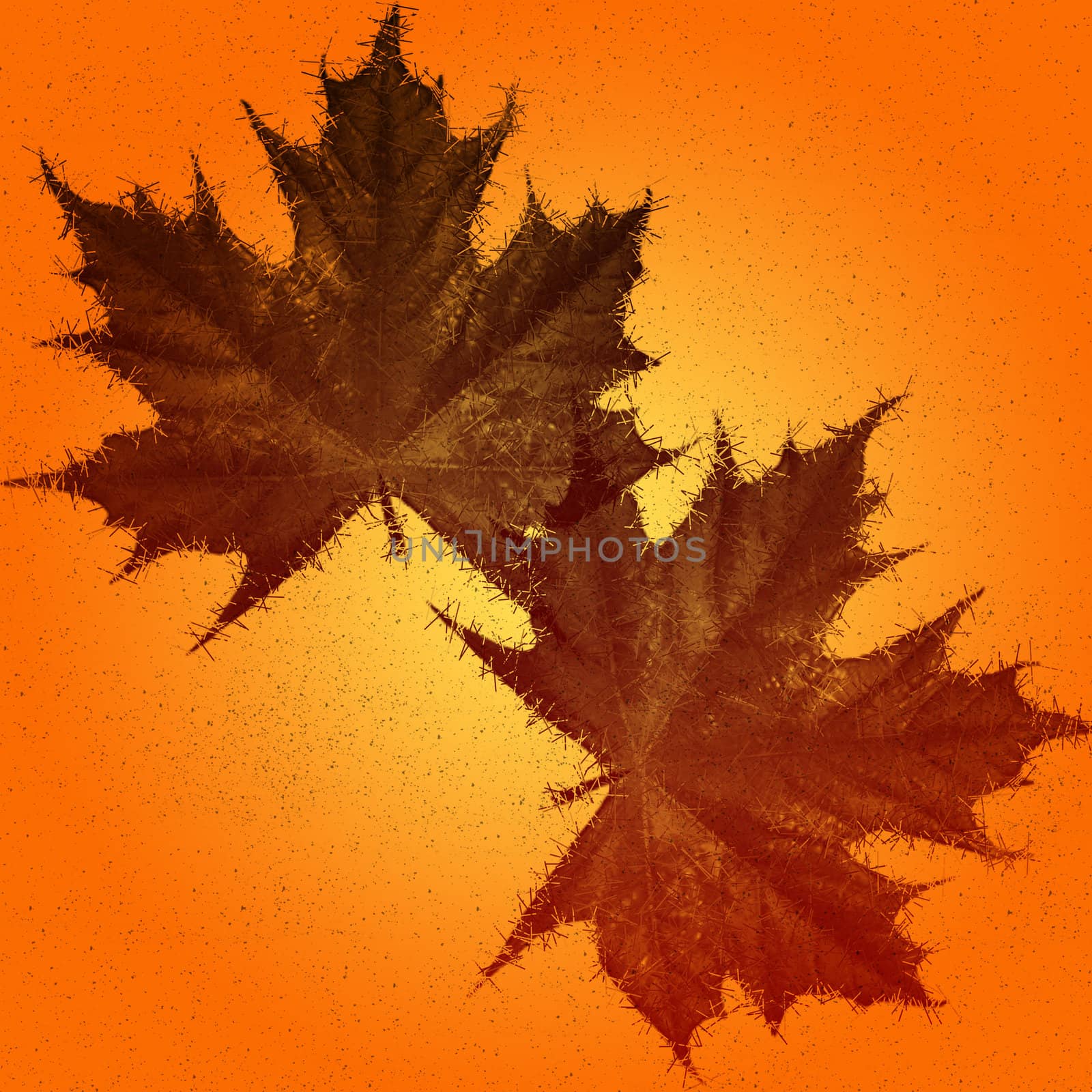 Autumn Leafs by Kljaksa79