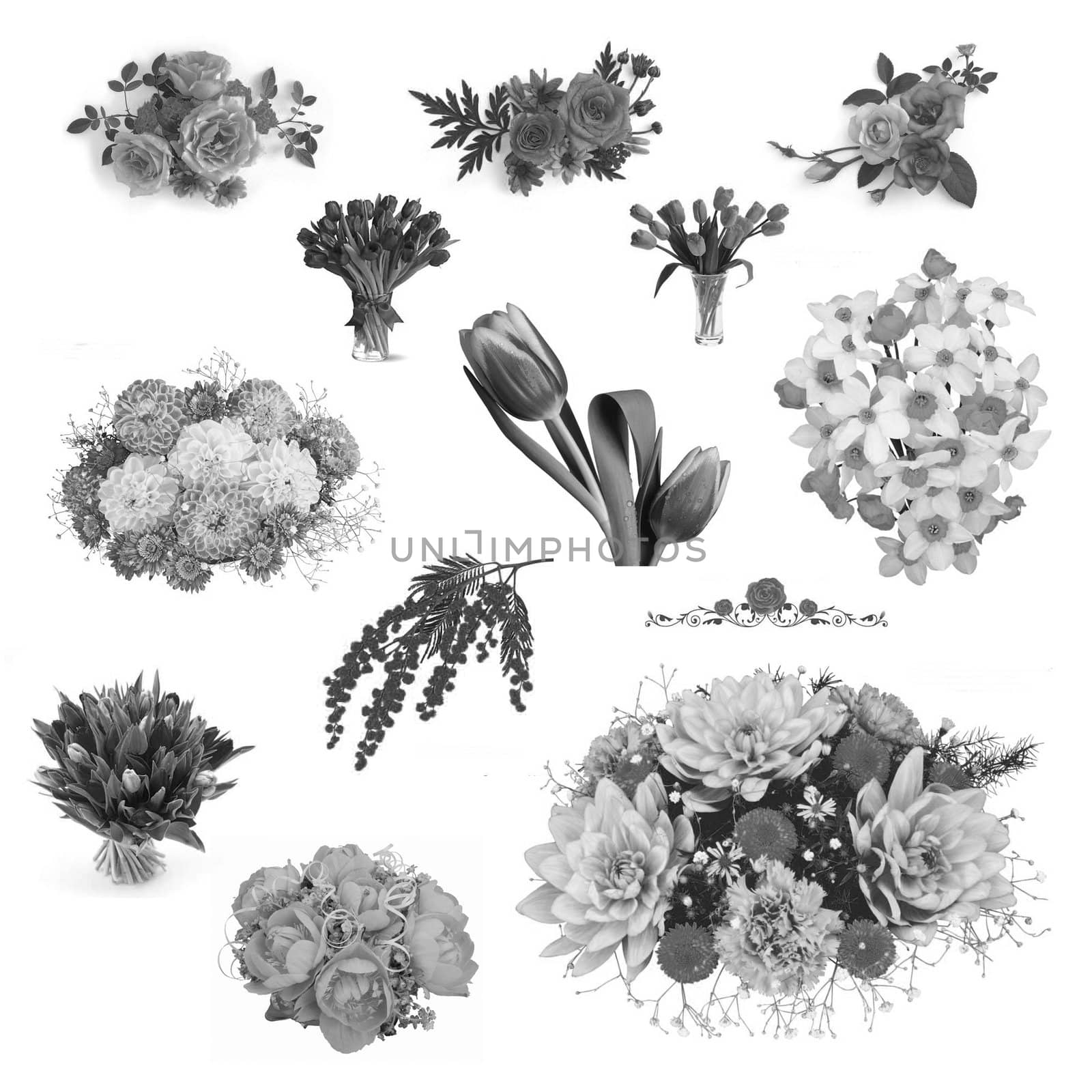 Elements for design brush art illustration flower