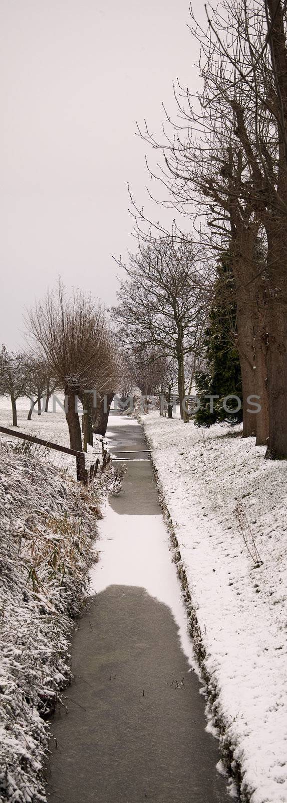 winter in Holland by medsofoto