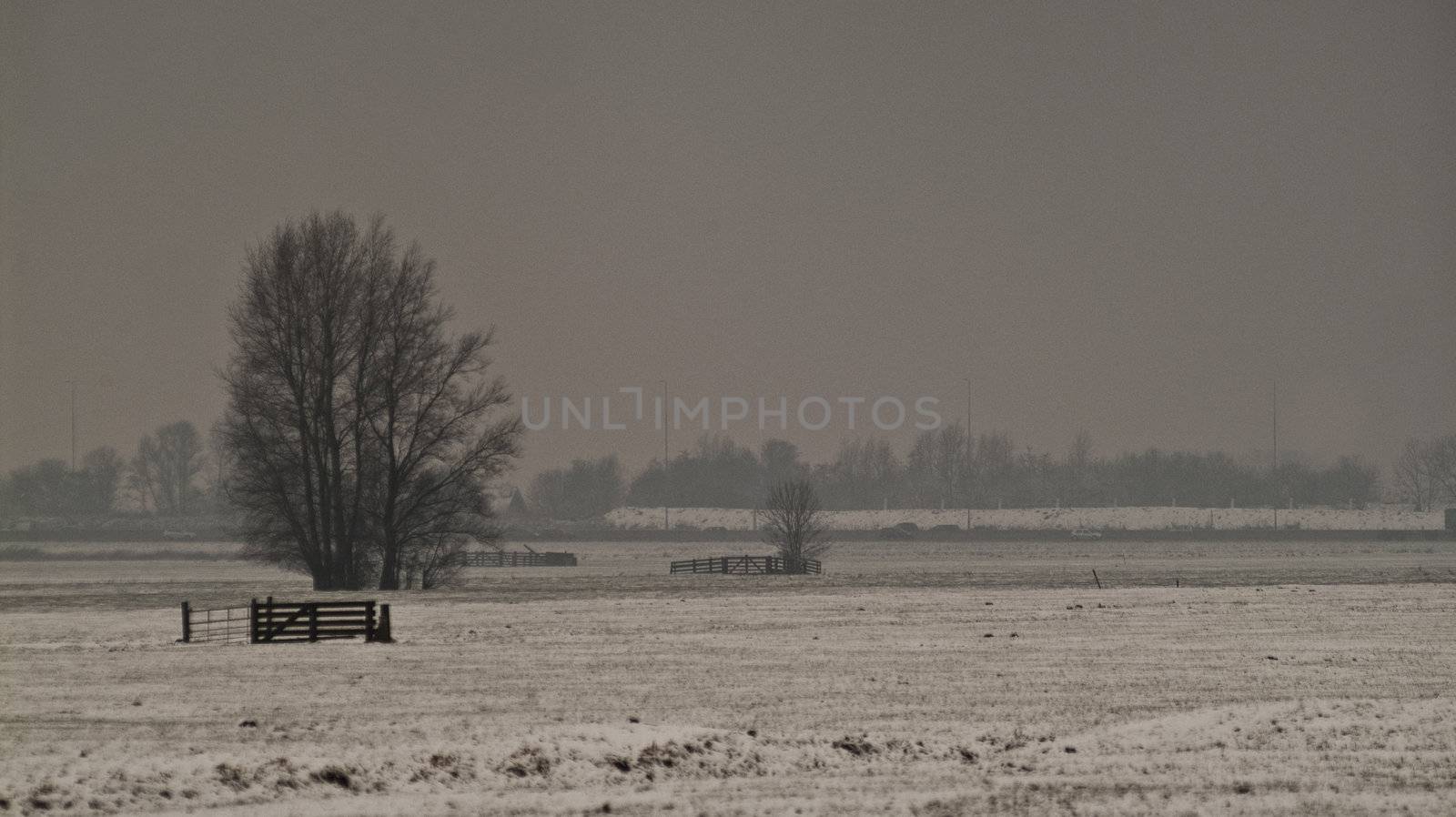 winter in Holland by medsofoto