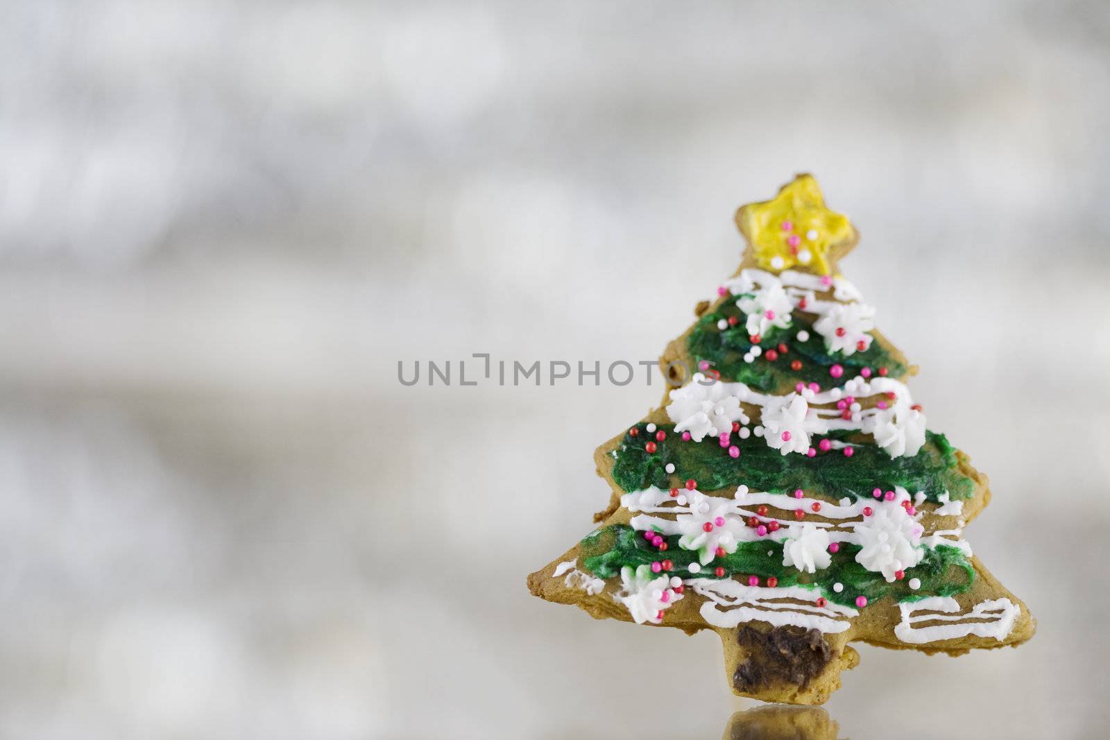 Christmas tree cookie by jarenwicklund
