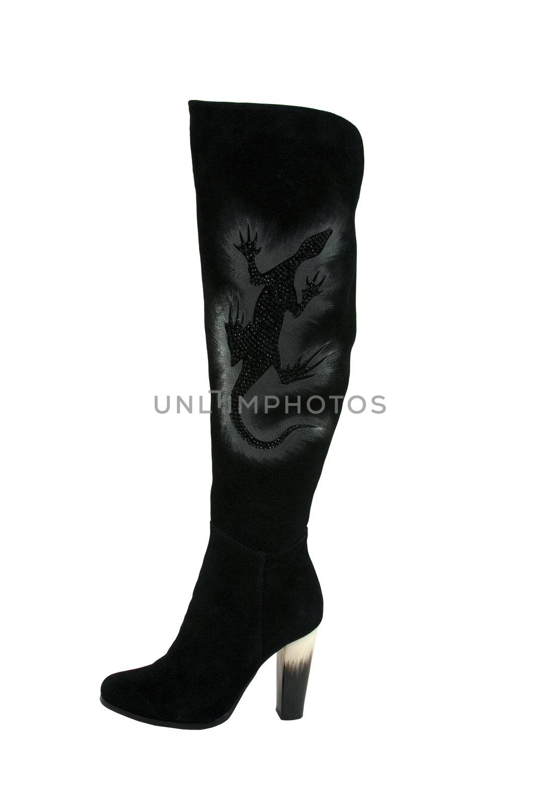 Ladies' high boot with drawing of a salamander isolated