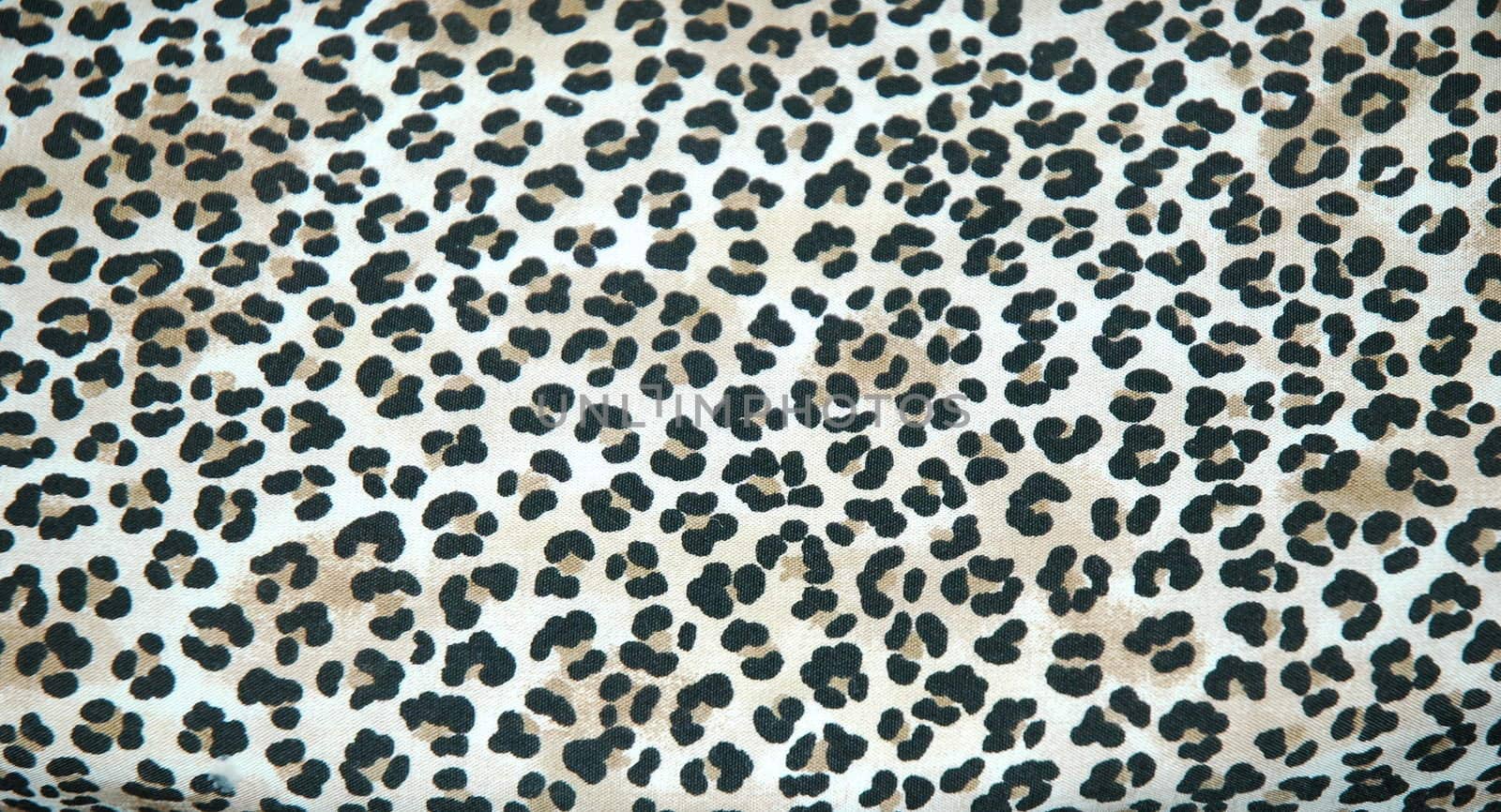 Leopard skin rug. by oscarcwilliams