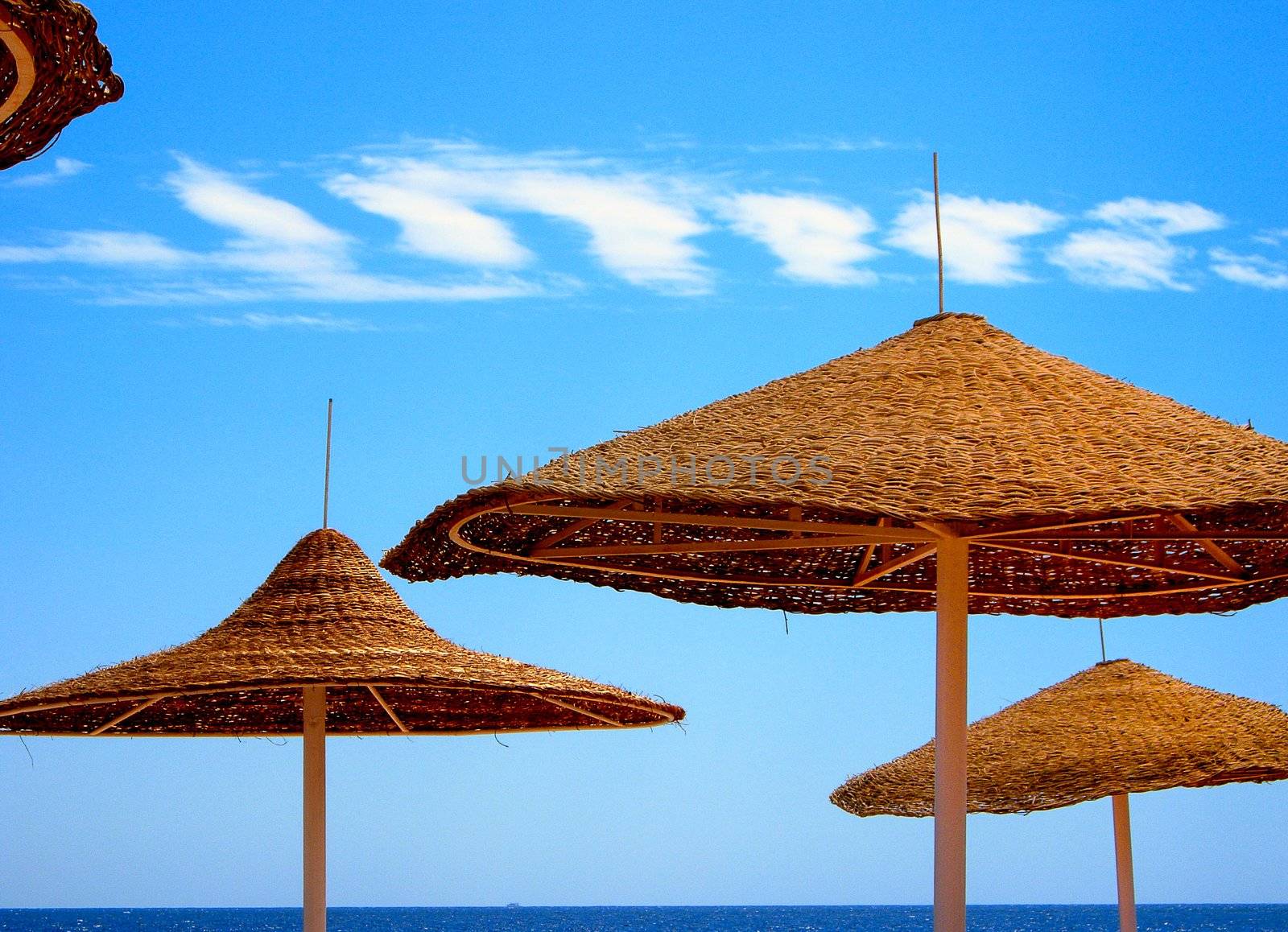 Beach Umbrellas in front of Blue Sky and White Cloud