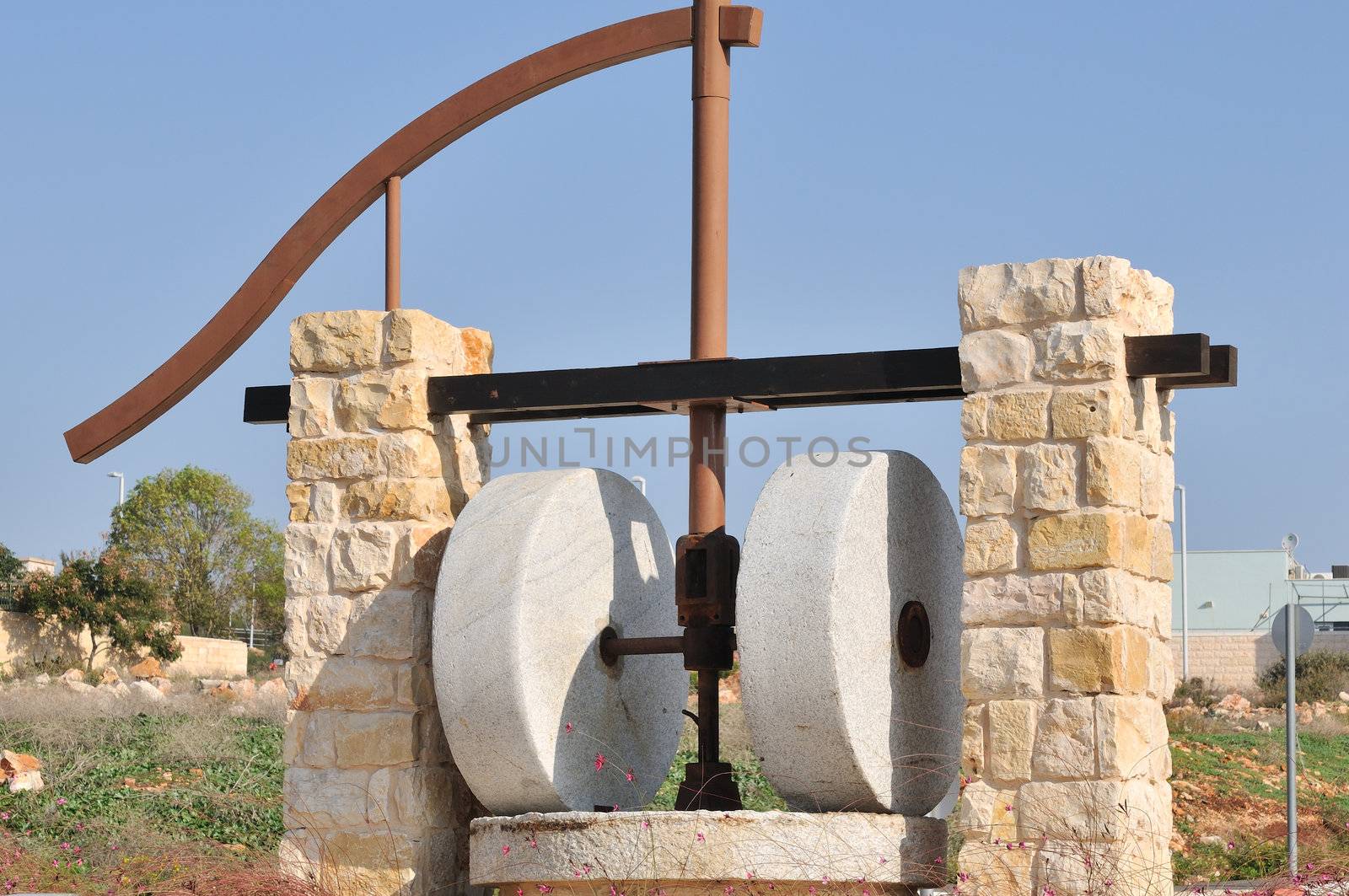 
 millstones for the extrusion of olive oil on the City Area 