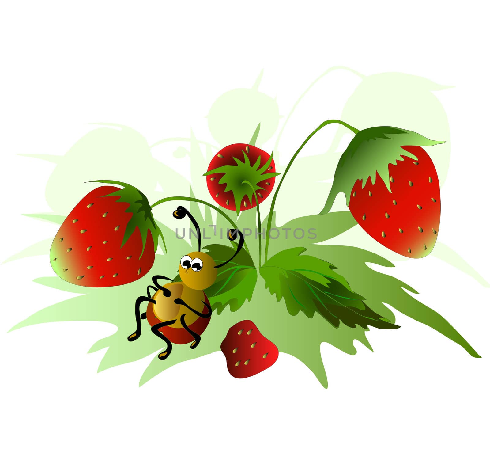 beetle with a belly full of the meadow with strawberries