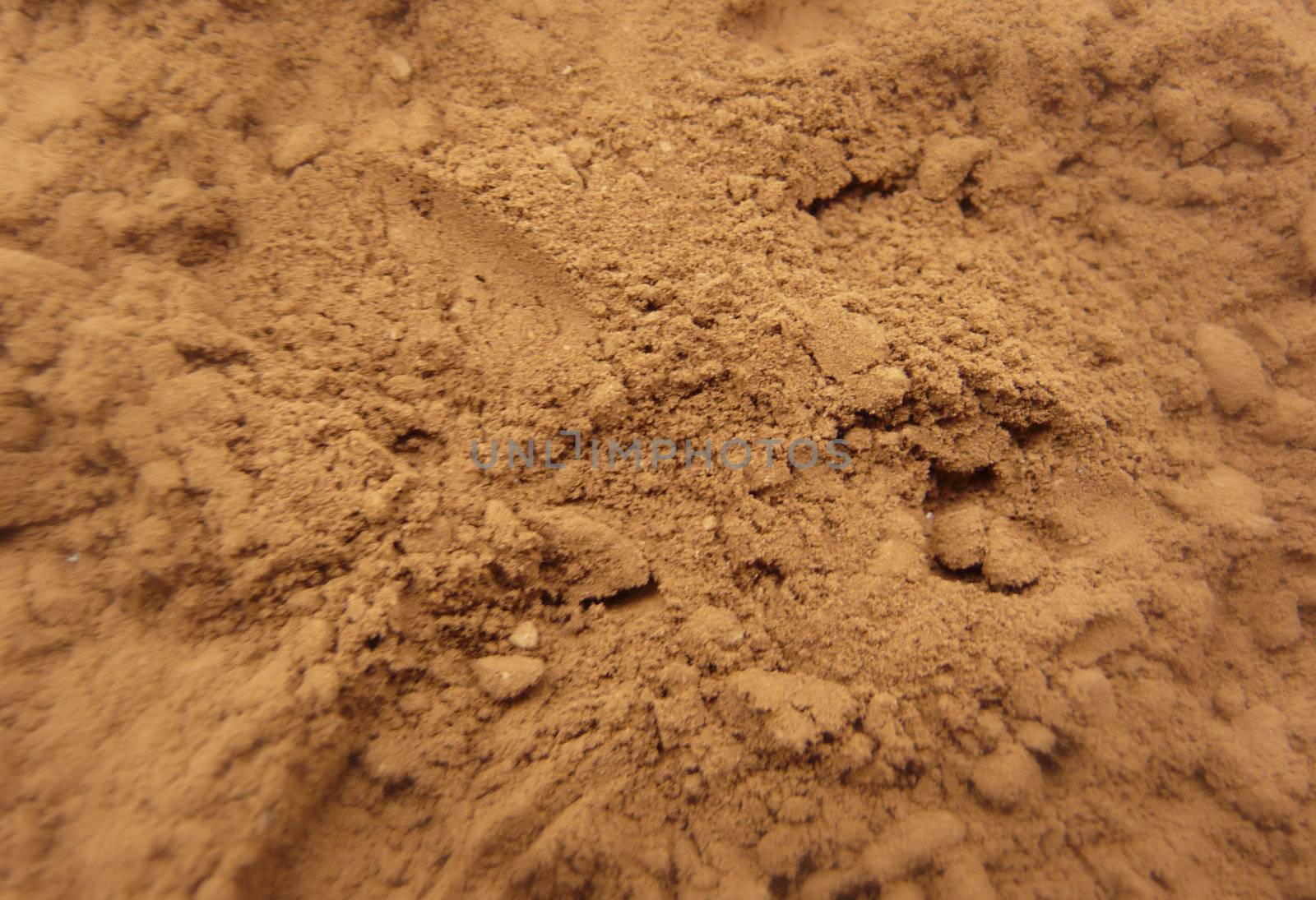 Cocoa powder by magraphics