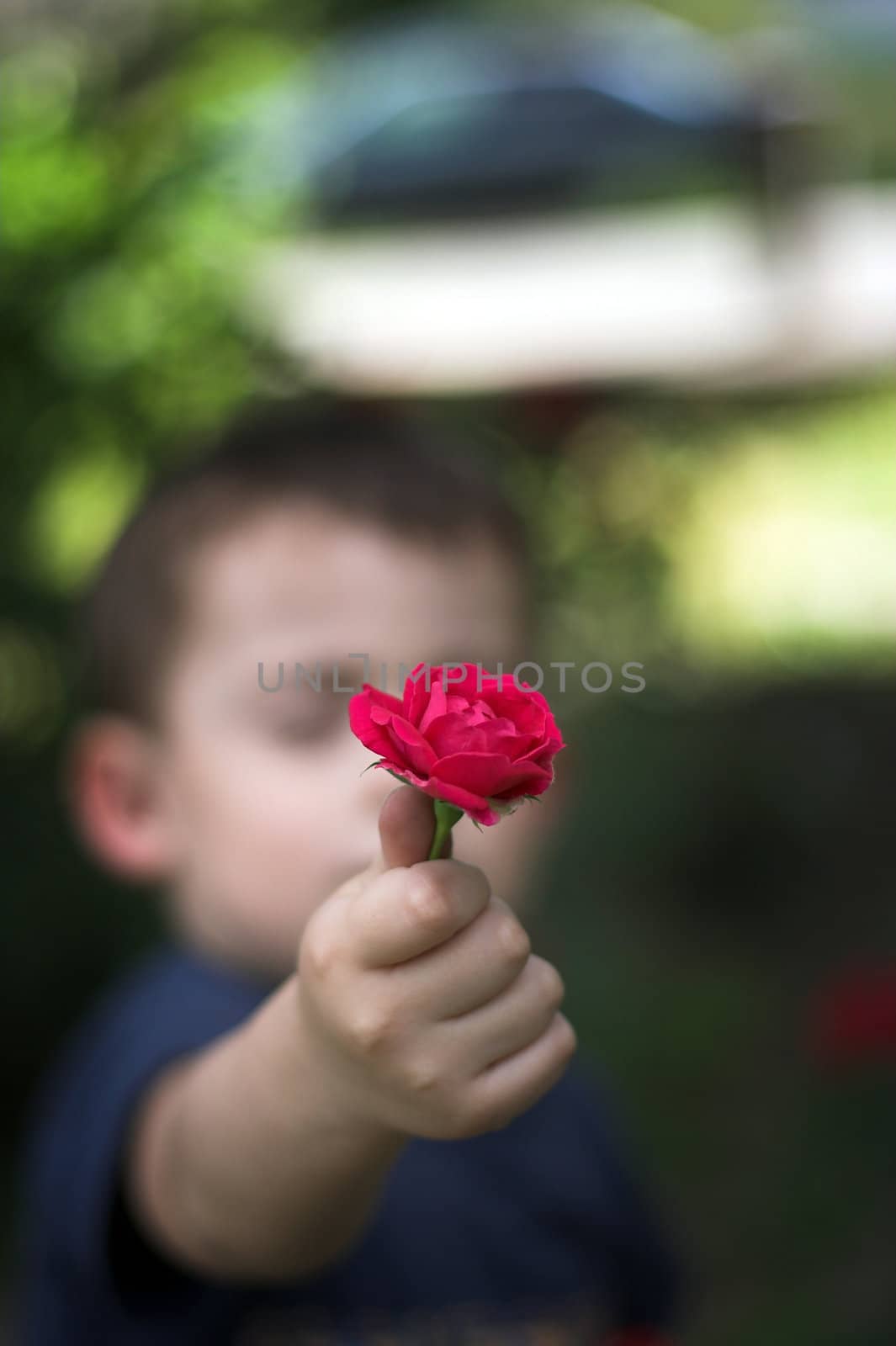 Boy and red rose by alexkosev