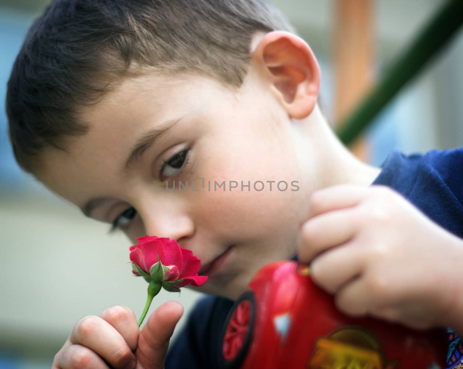 Boy with red rose , shallow Dof