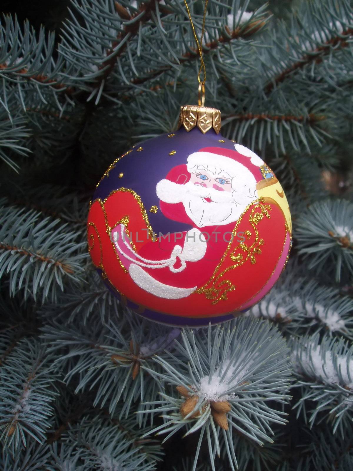 Decorative christmas ball on a background with a blue spruce      
