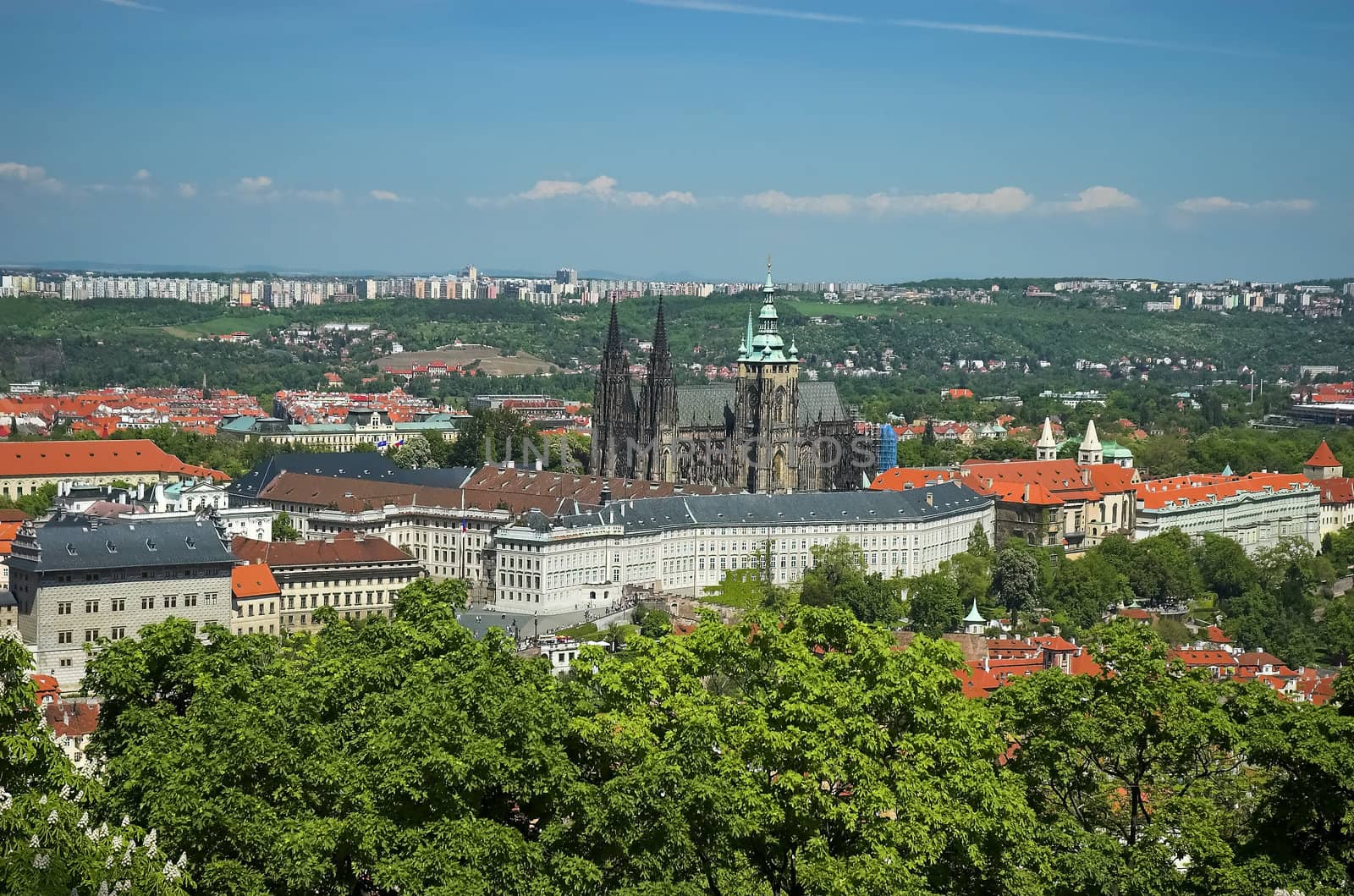 Prague Castle and St-Vitus Cathedral by photopierre