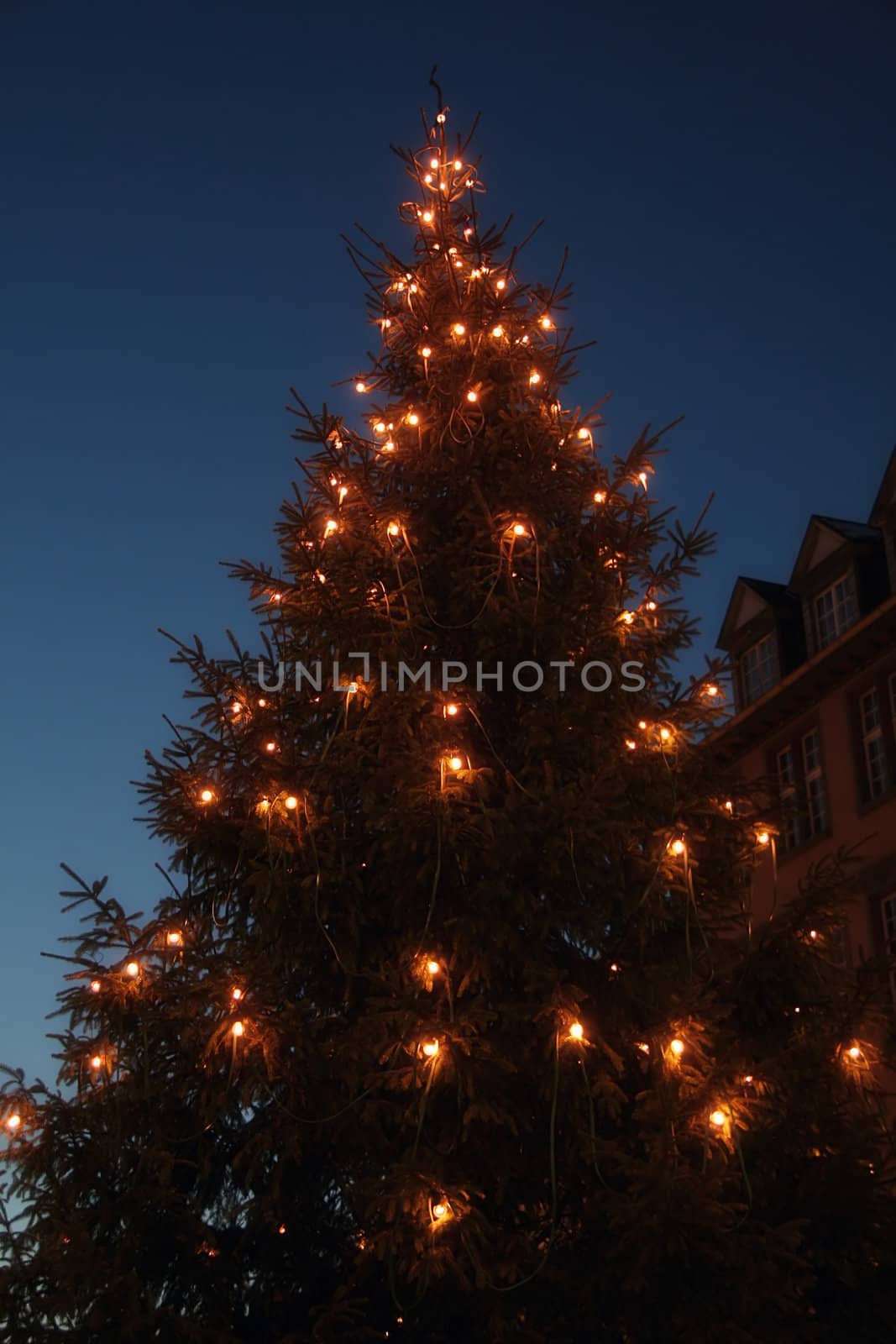 lighted christmas tree in the early afternoon