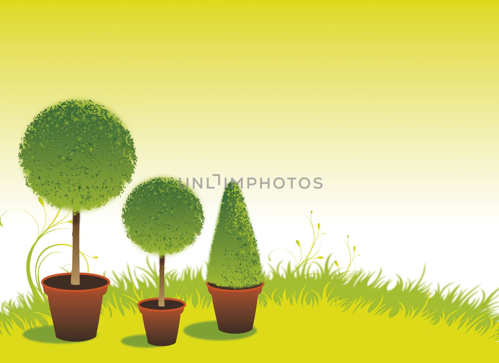 A trio of topiary bushes set on a soft green background with grass and foliage. Room for copy etc.
