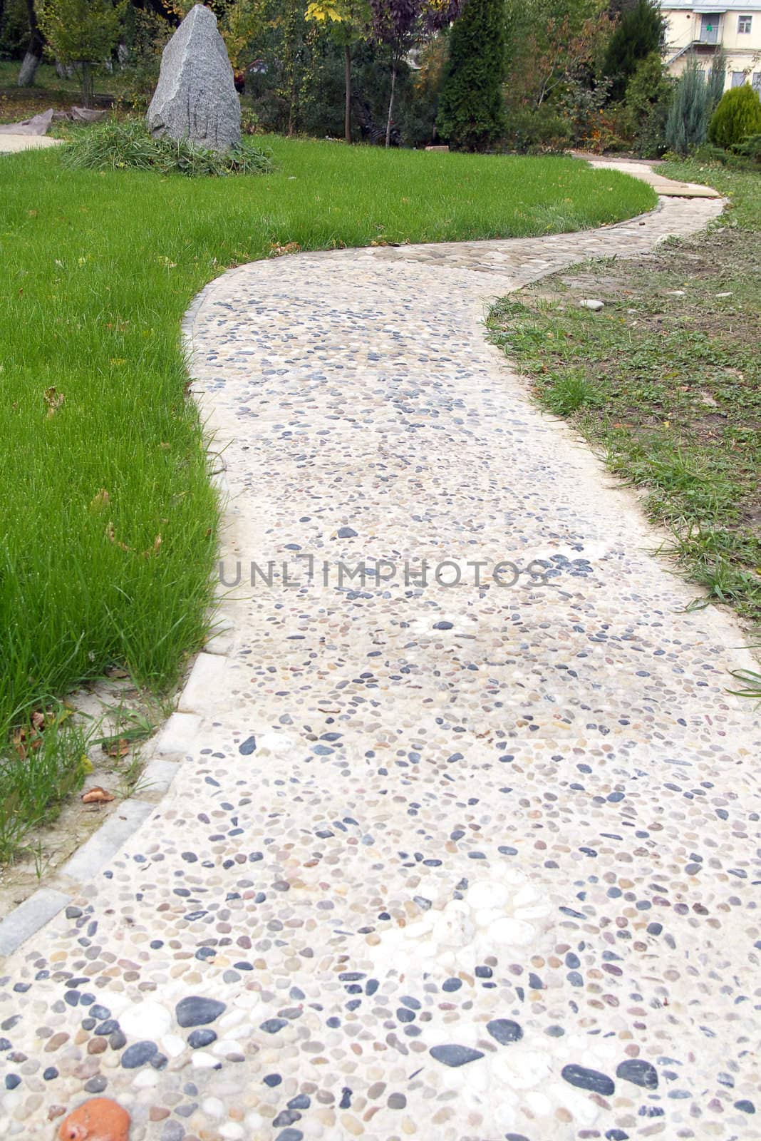 Stone path in a garden