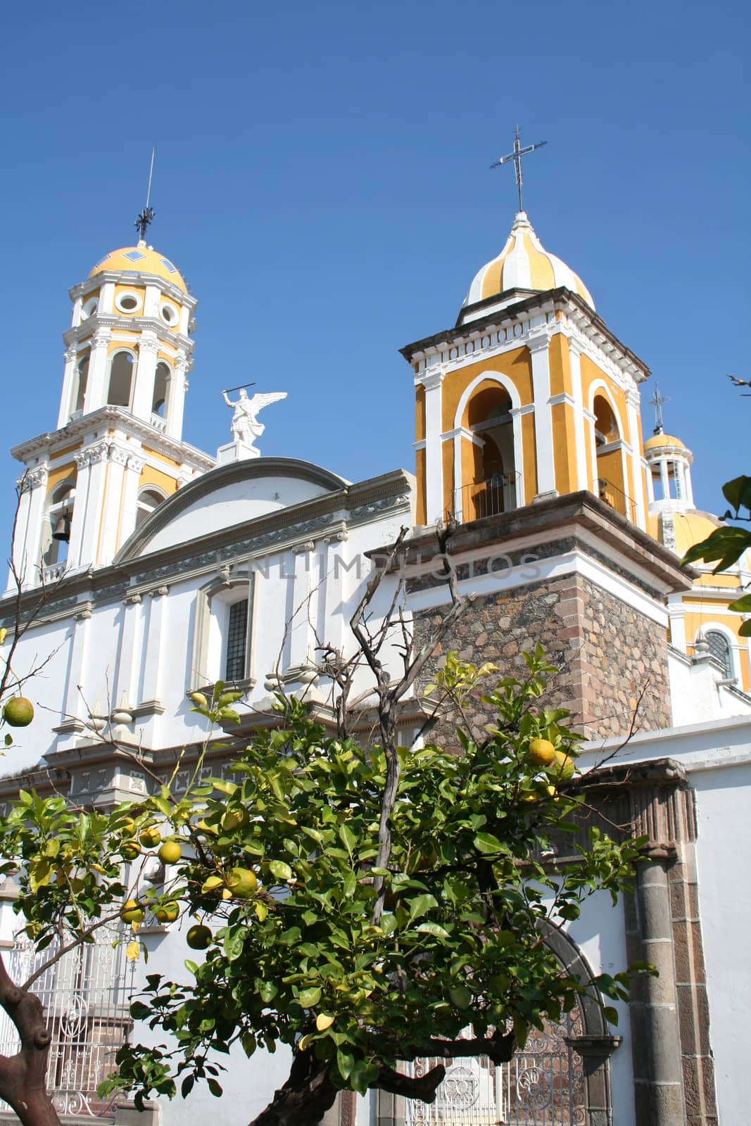 Old catholic cathedral with citrus tree in front