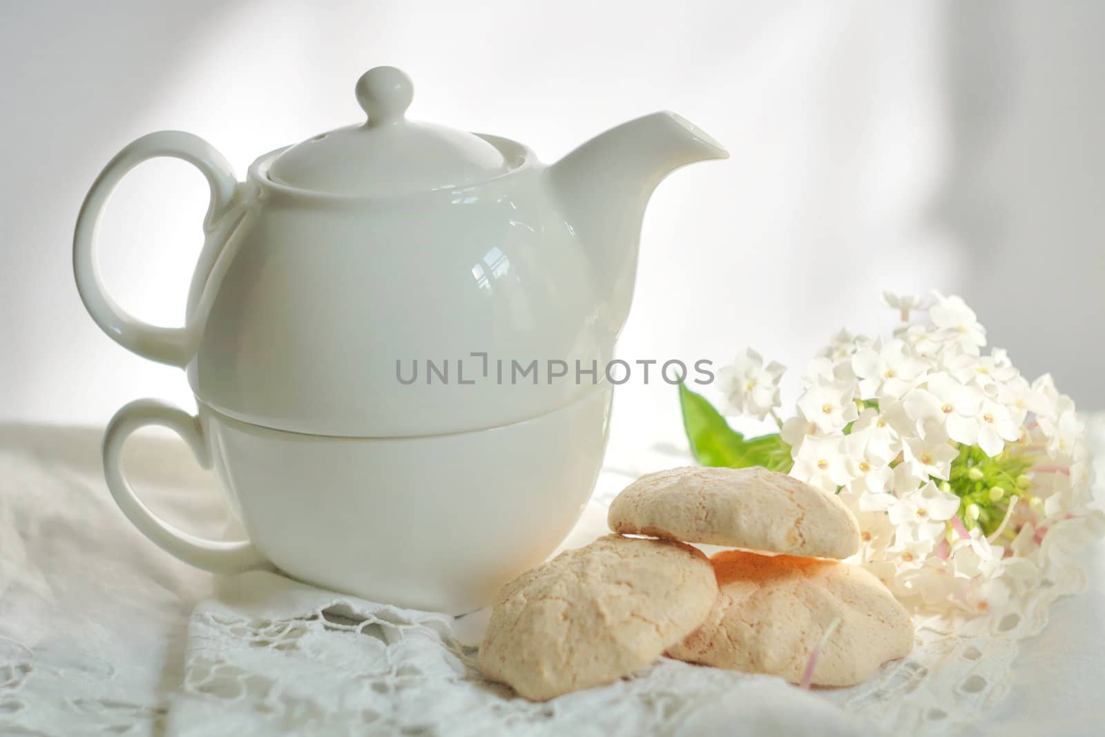 white china teapot and sweet flowers