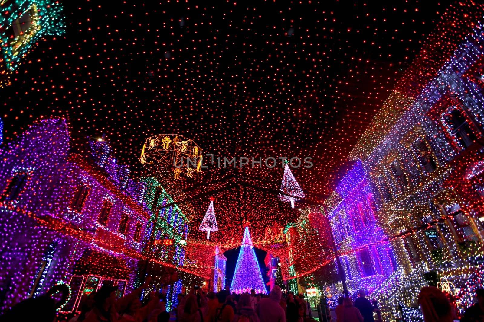 The Osborne Family Spectacle of Dancing Lights at Hollywood Studios in Disney World, Orlando, Florida, December 16th 2009