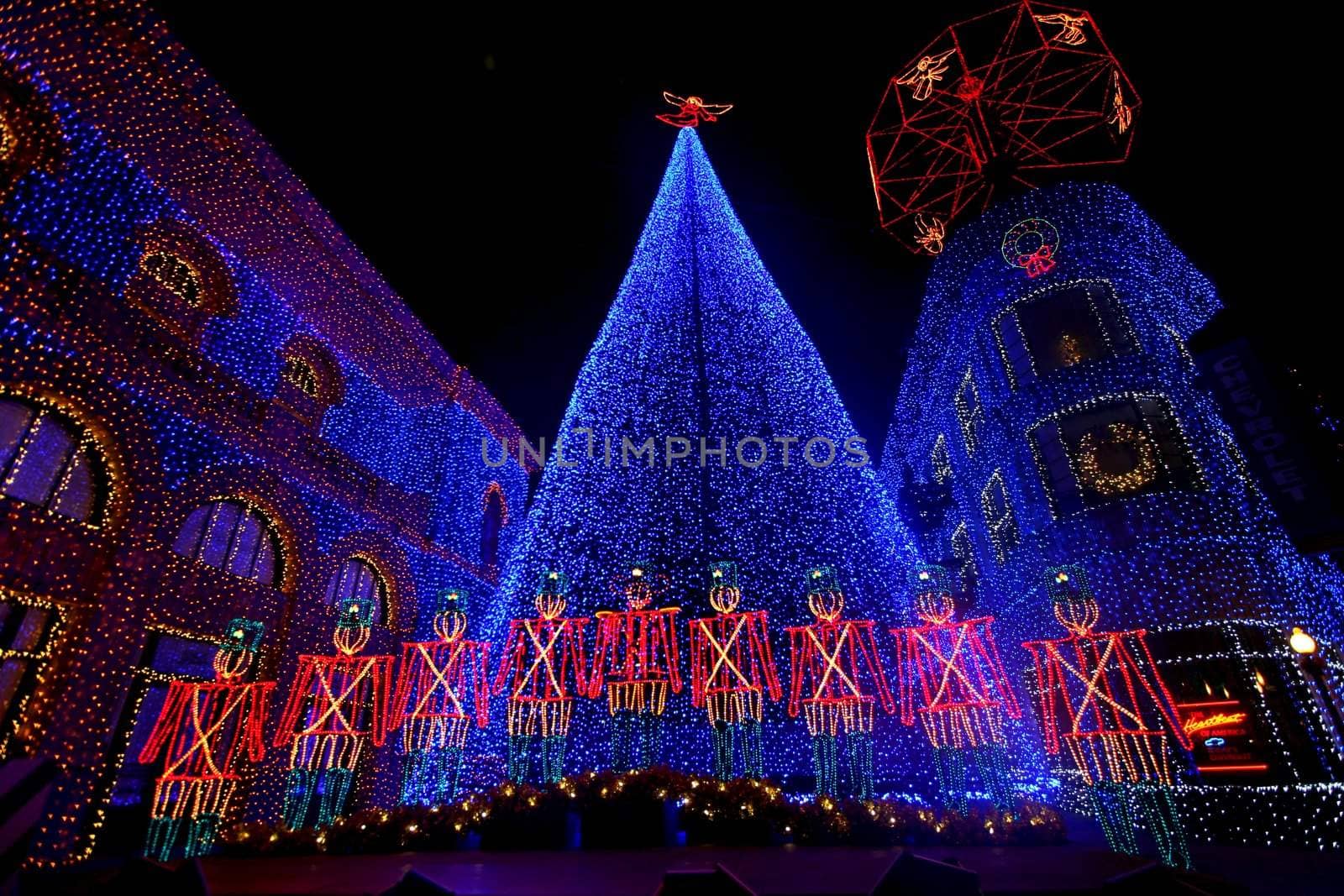 The Osborne Family Spectacle of Dancing Lights at Hollywood Studios in Disney World, Orlando, Florida, December 16th 2009