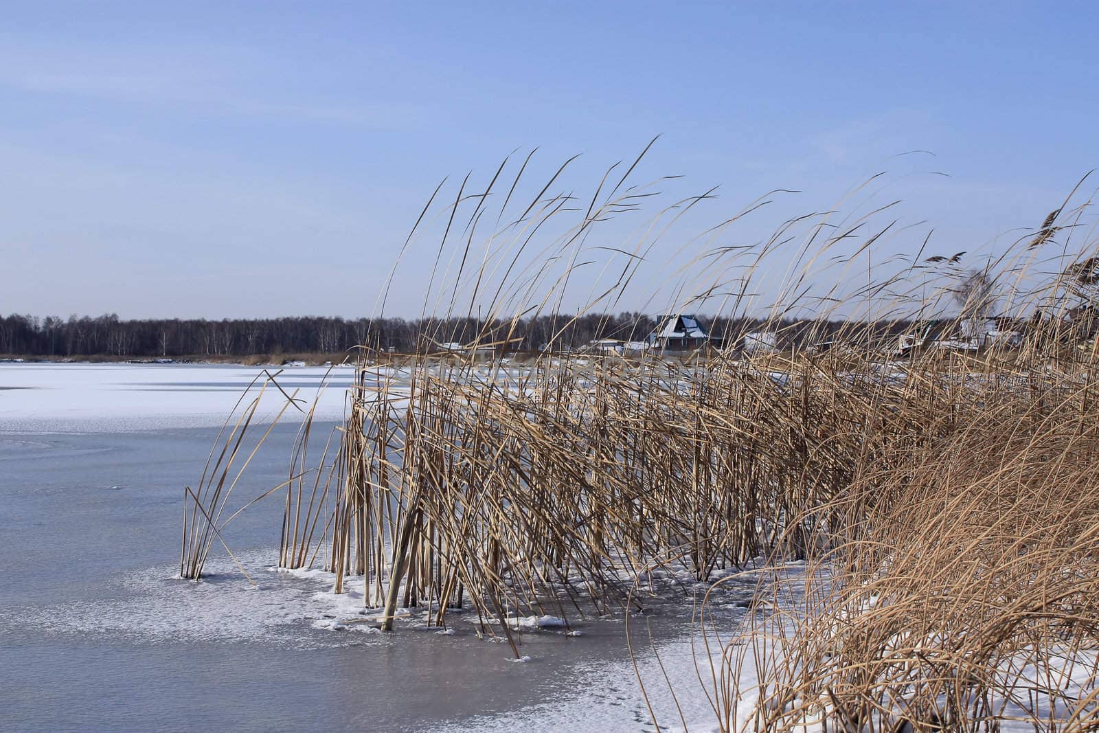 Snow has dropped out, the lake has become covered by ice. Ashore the dry grass is visible