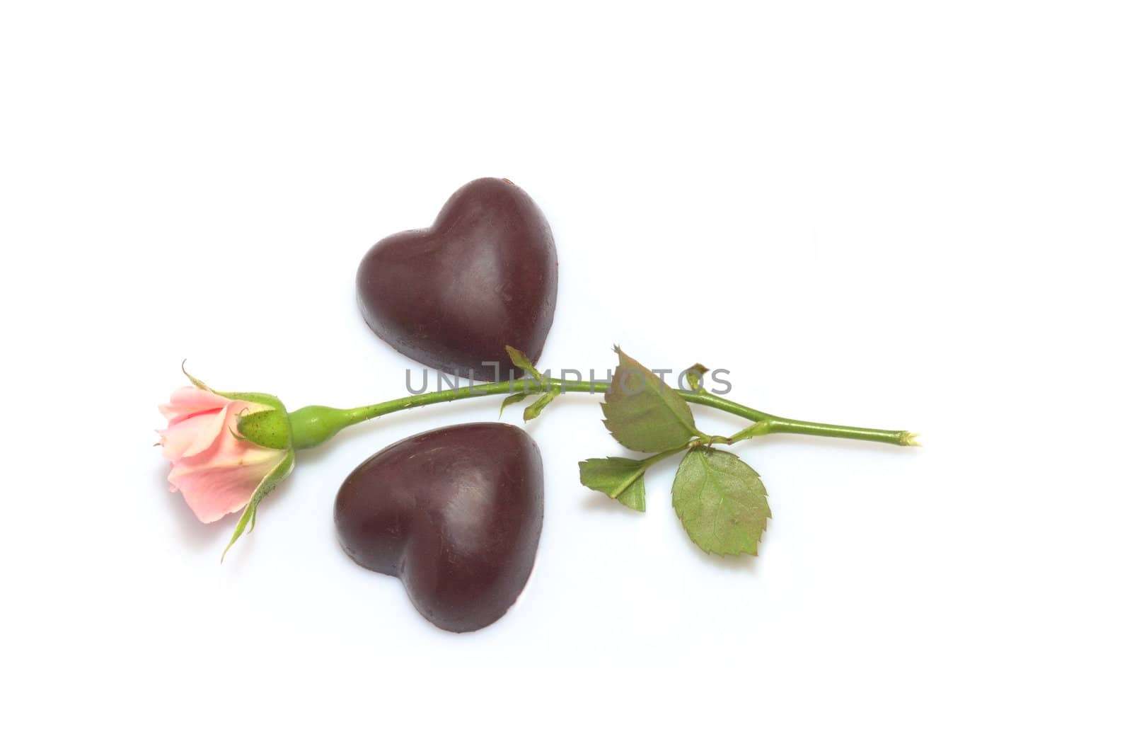 valentines day background - rose and two chocolate hearts