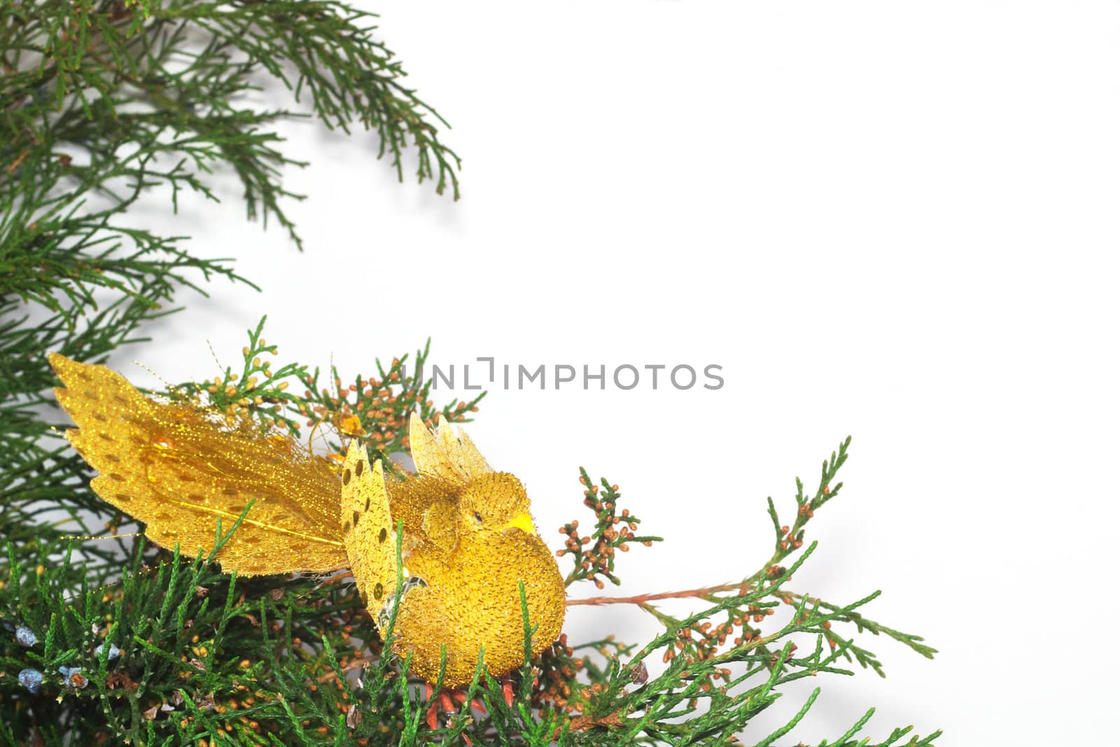 New Year composition - gold bird with copyspace by paolo