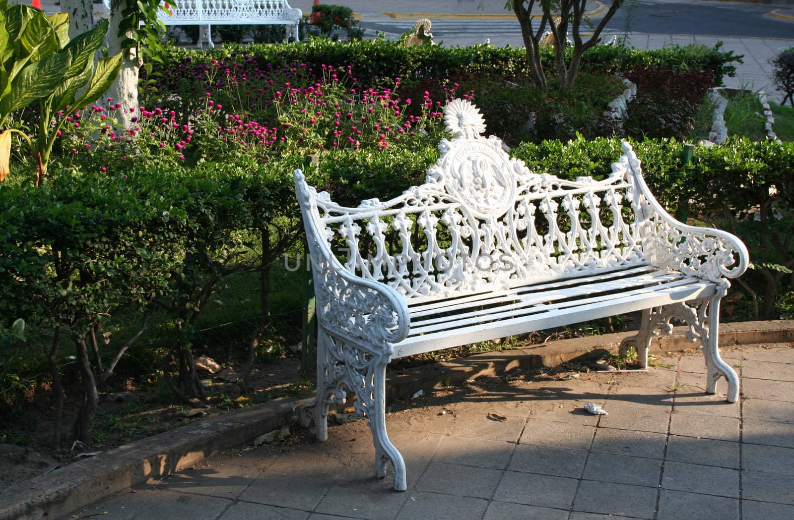 park bench by plants and flowers