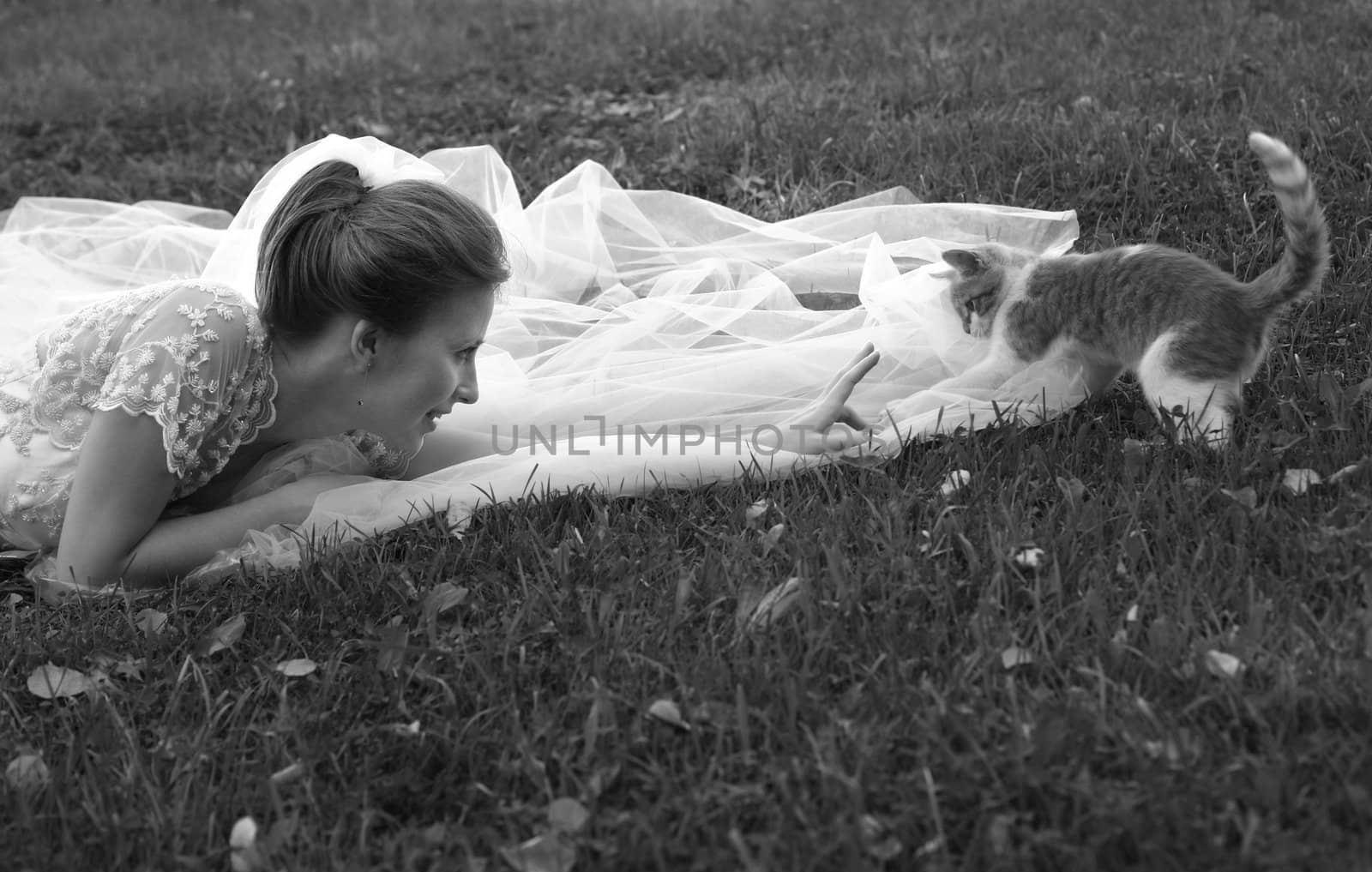 Beautiful bride and kitten by friday