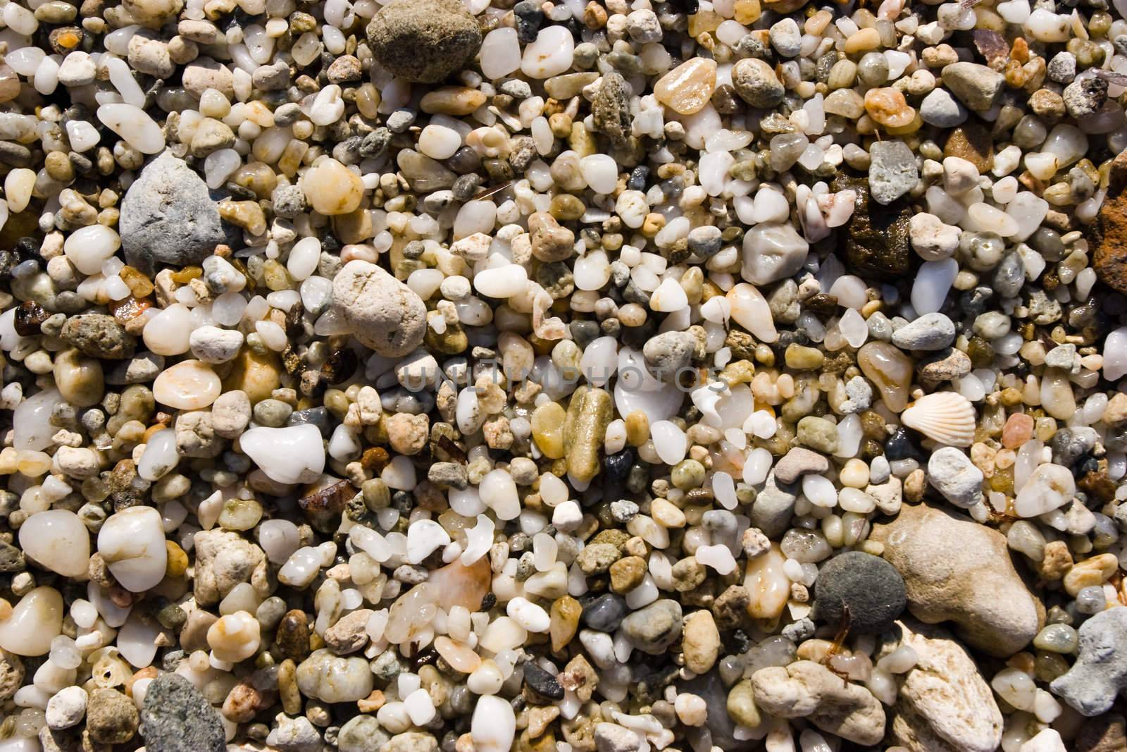 Wet pebbles on a beach