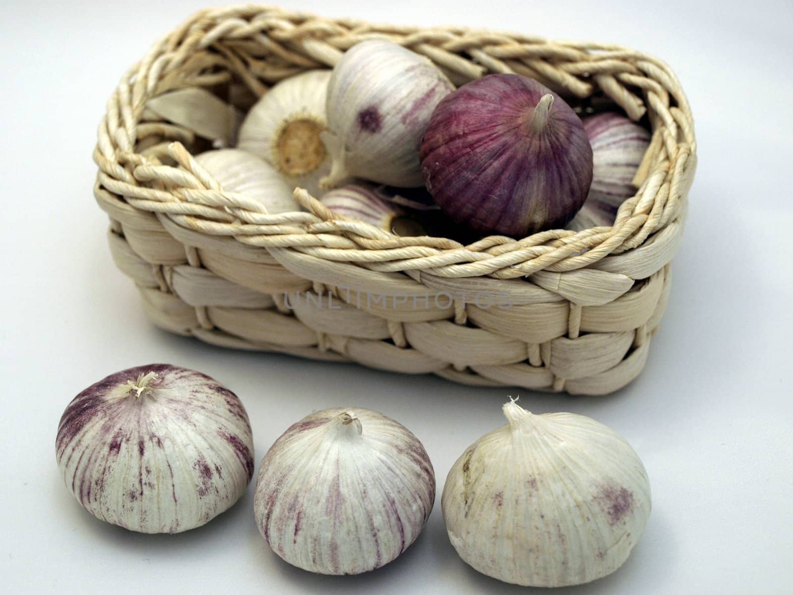 garlic by lulu2626