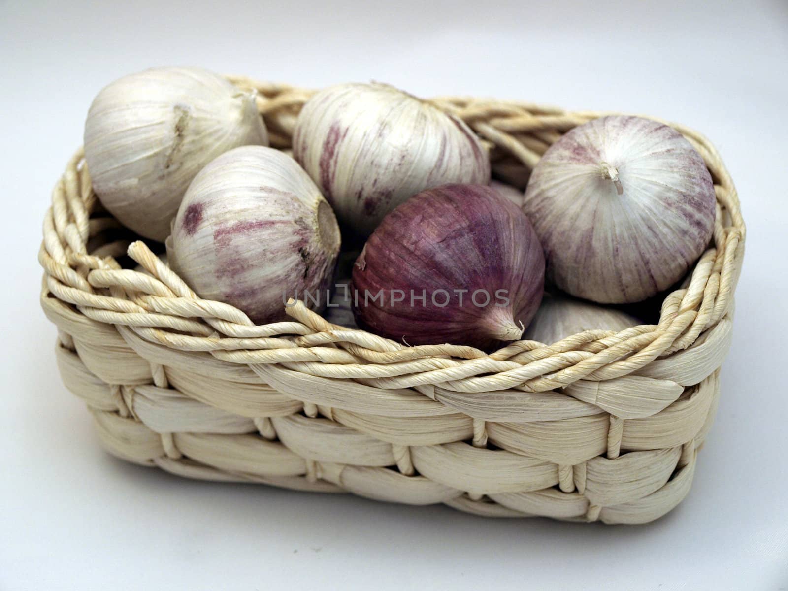 garlic by lulu2626