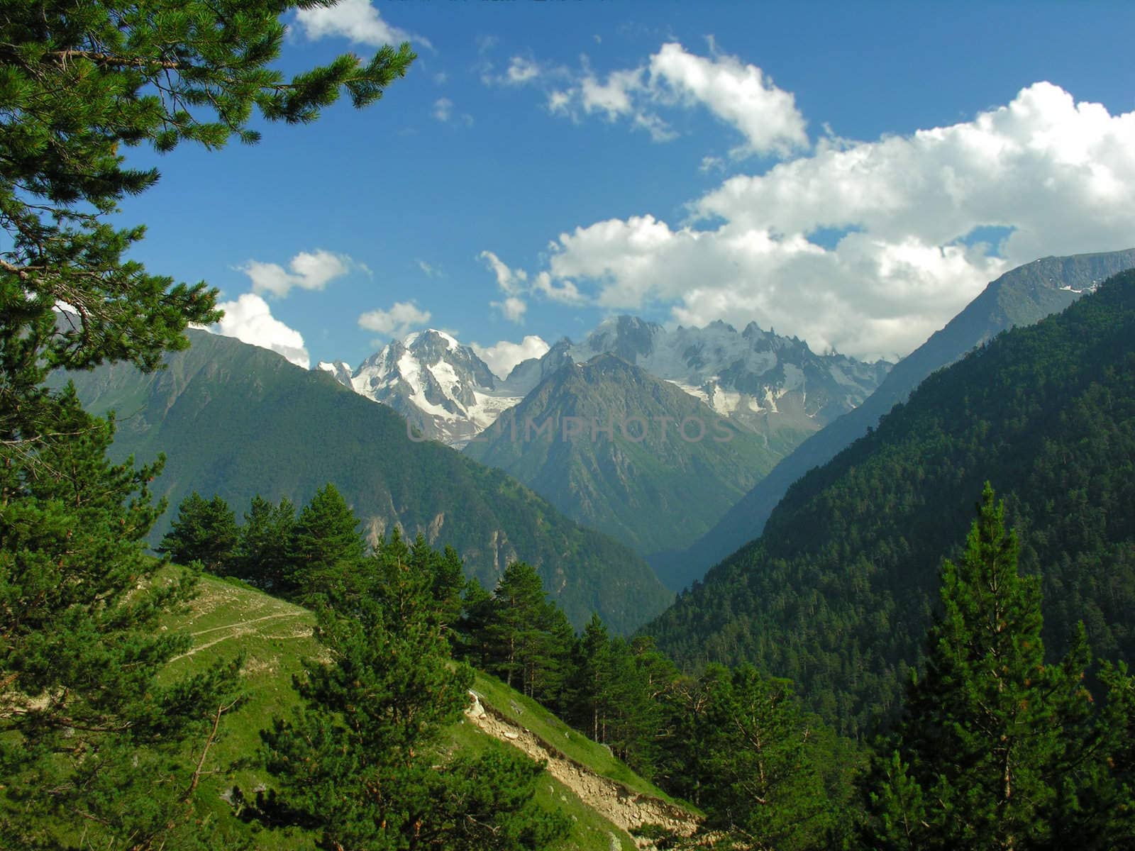 The mountains covered with a forest on a background of the blue sky with white clouds