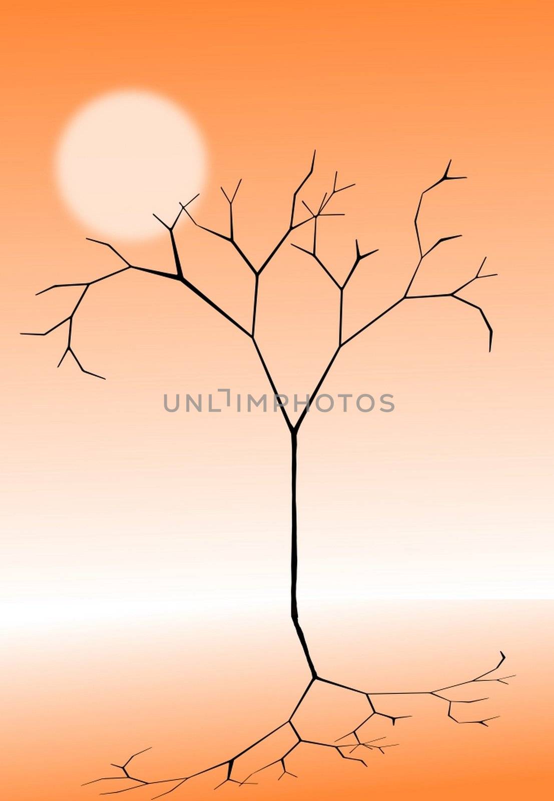 tree and sun orange and white