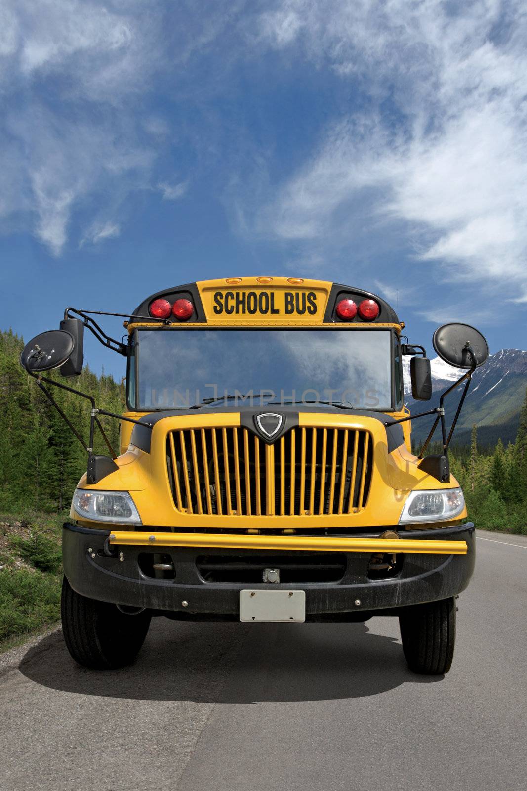 Front view of a school bus on a rural road.
