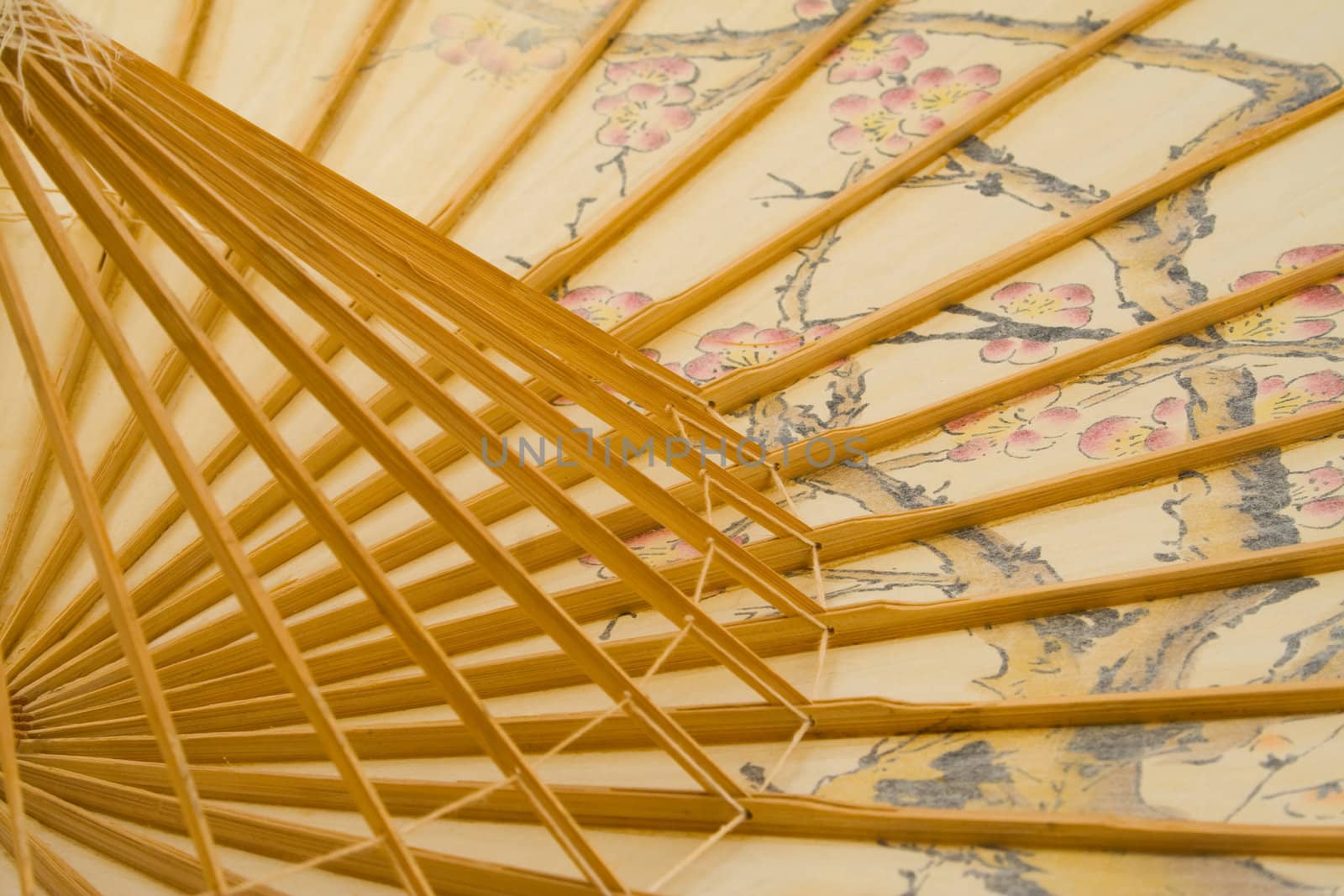 Detail of Japanese umbrella, isolated on white background.