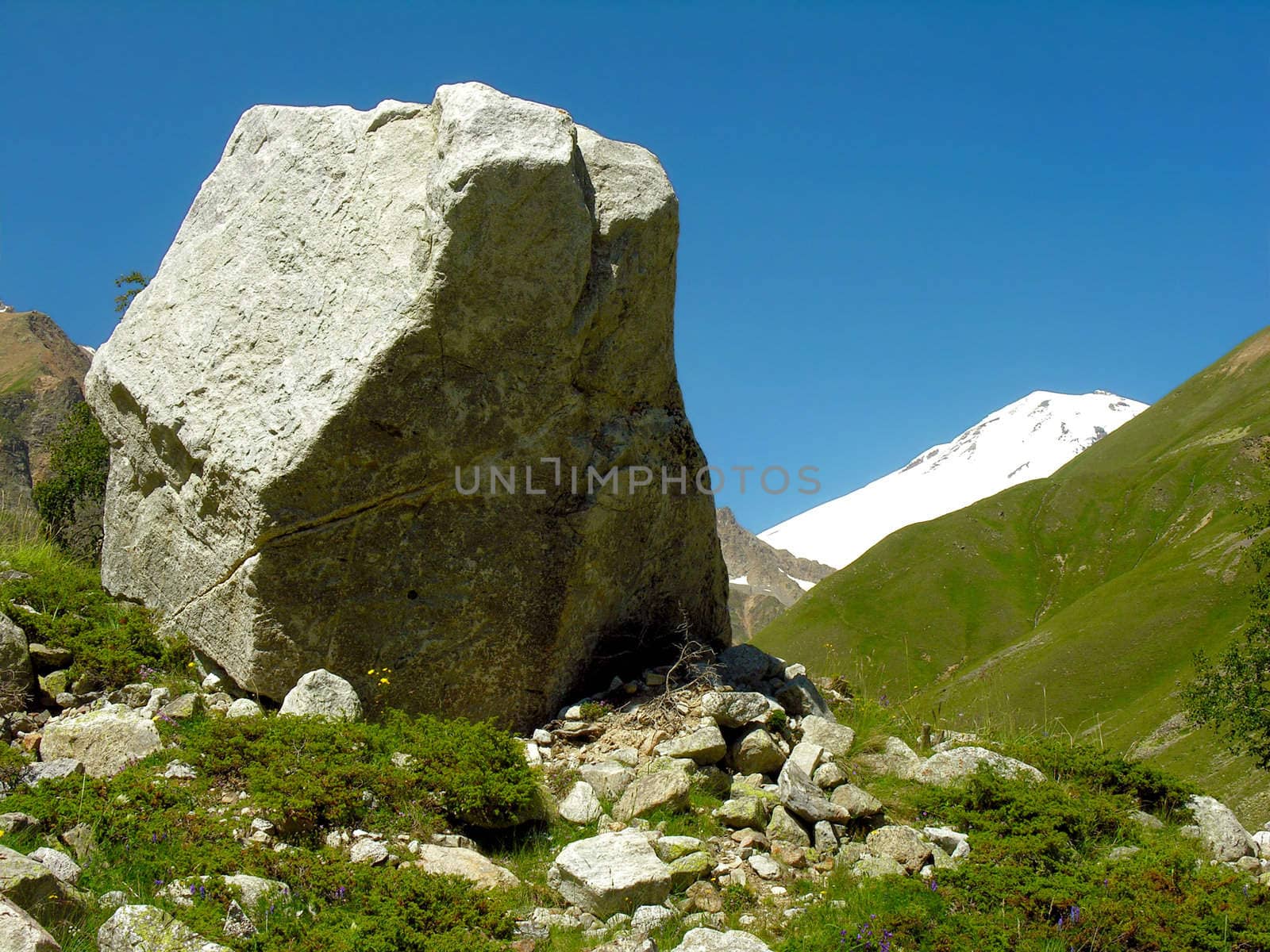 The fragment of a rock lays on a green meadow on a background of mountain