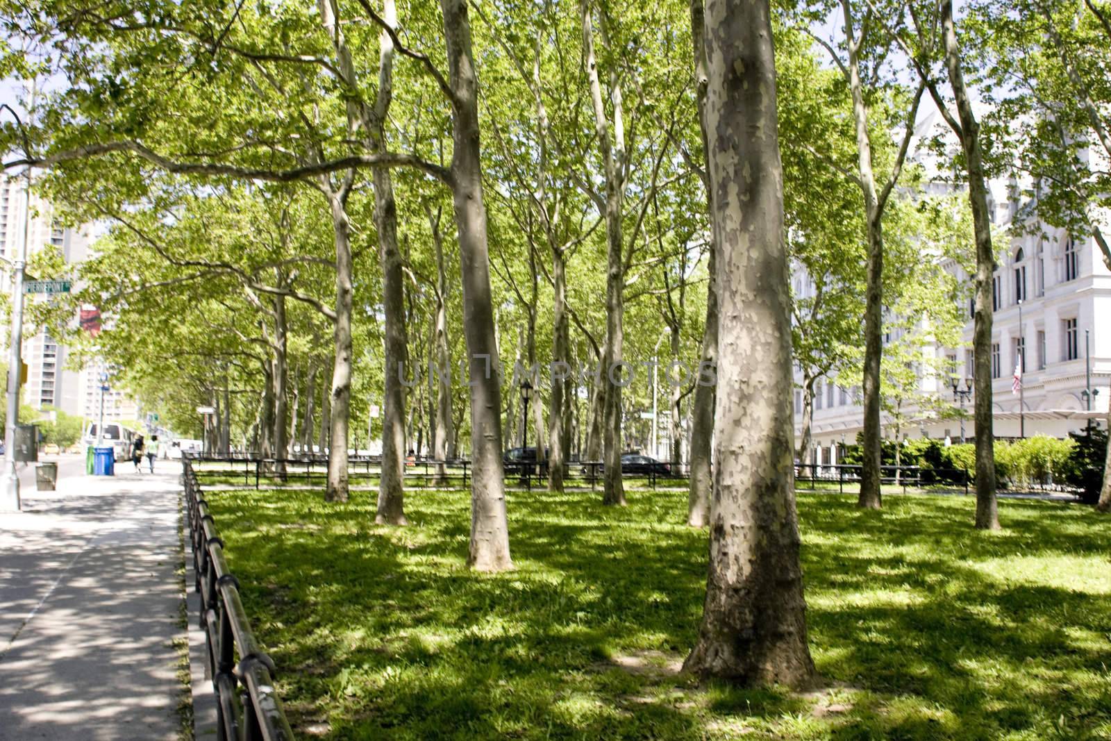 Memorial Day 2008 in Brooklyn, New York. Many parts of Brooklyn are beautiful areas with tree lined streets and shady parks.