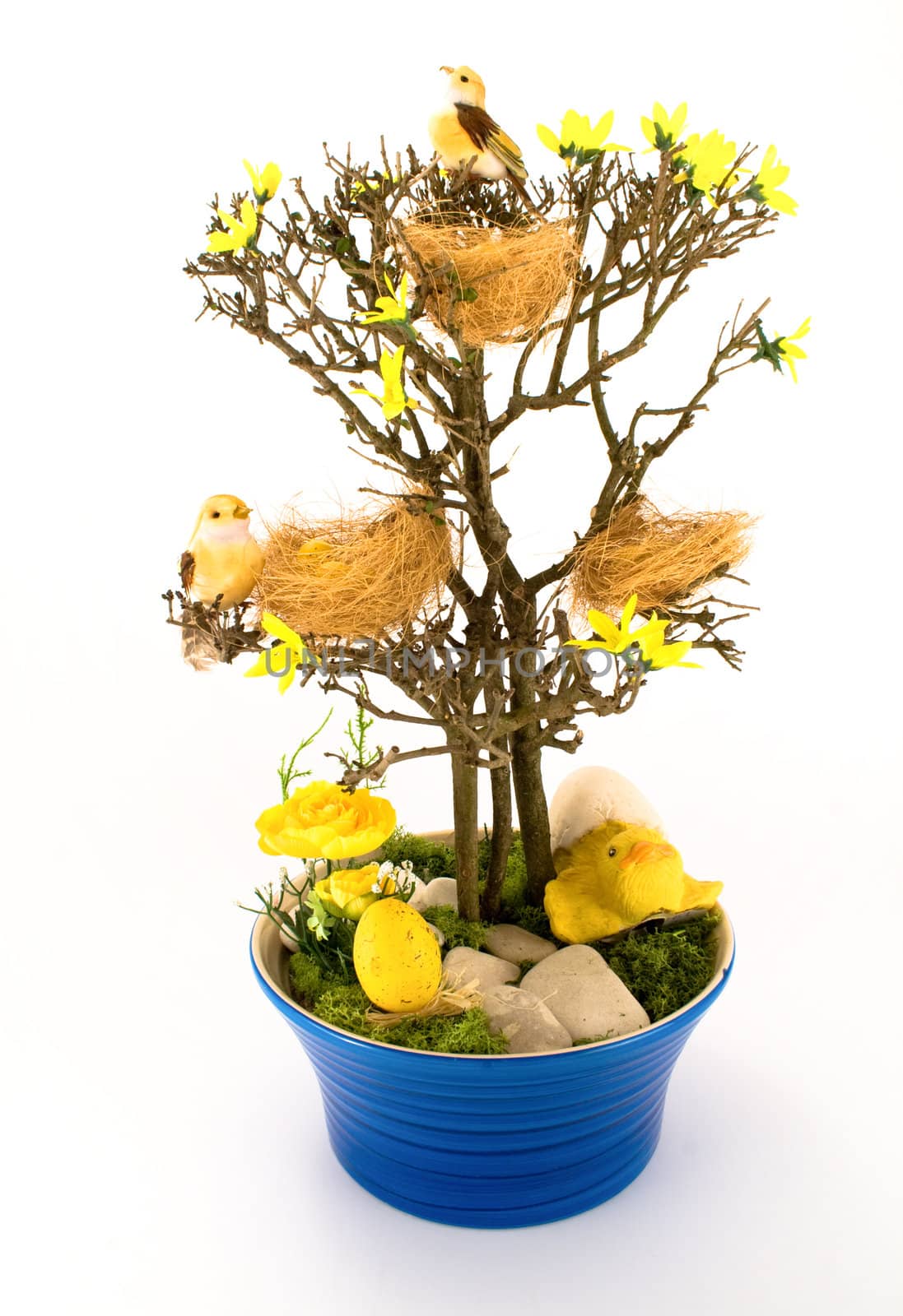 Easter tree in blue pot with birds, nests and eggs. On white backgroudn.