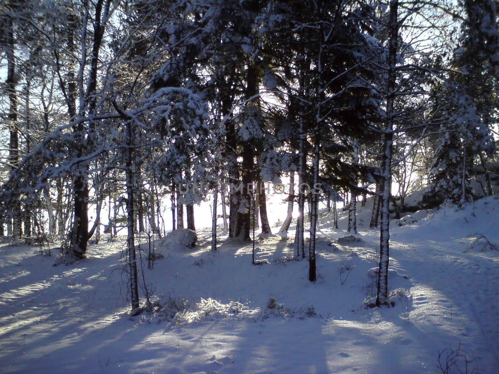 Winter lanskap by rubeh2