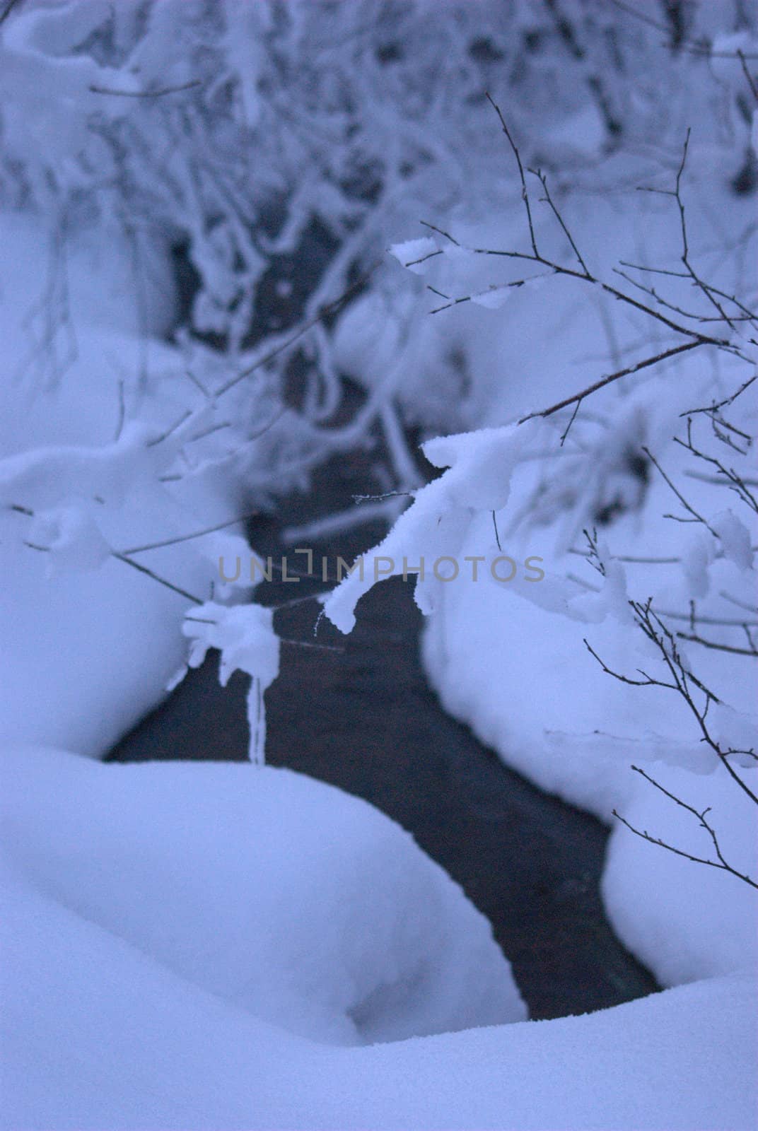  Winter Landscape by rubeh2