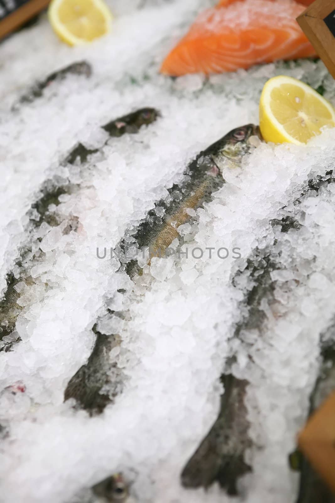 Food, Fresh Fish on Ice with Lemon, Small Depth to Sharpness