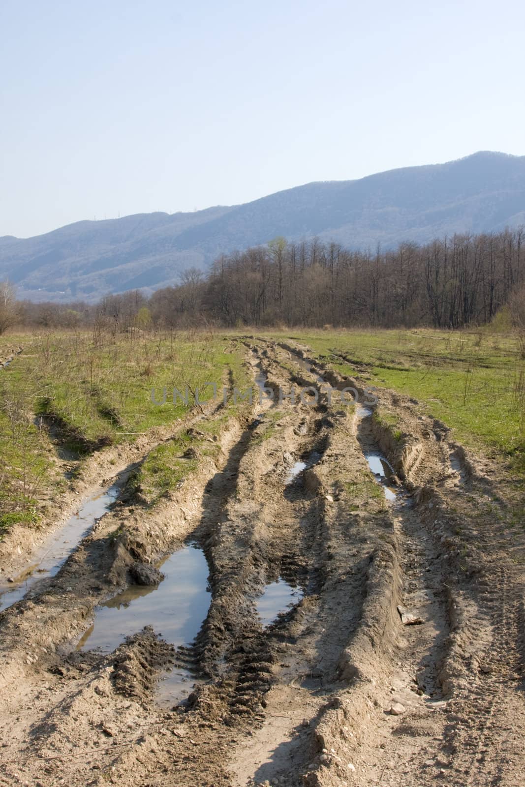 Dirt forest road with big puddles by elenica