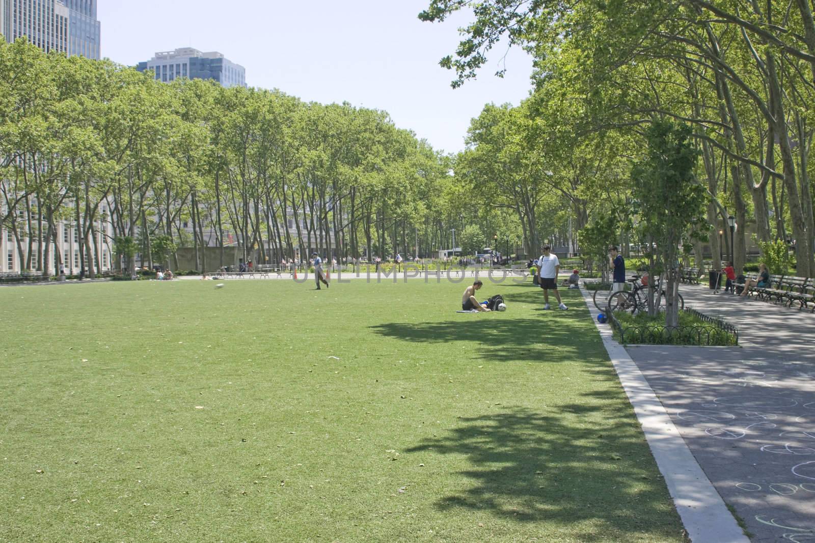 A stereotype changing view of Brooklyn, New York. Many areas of this large city are beautiful tree lined streets with beautiful parks and lovely Victorian homes.